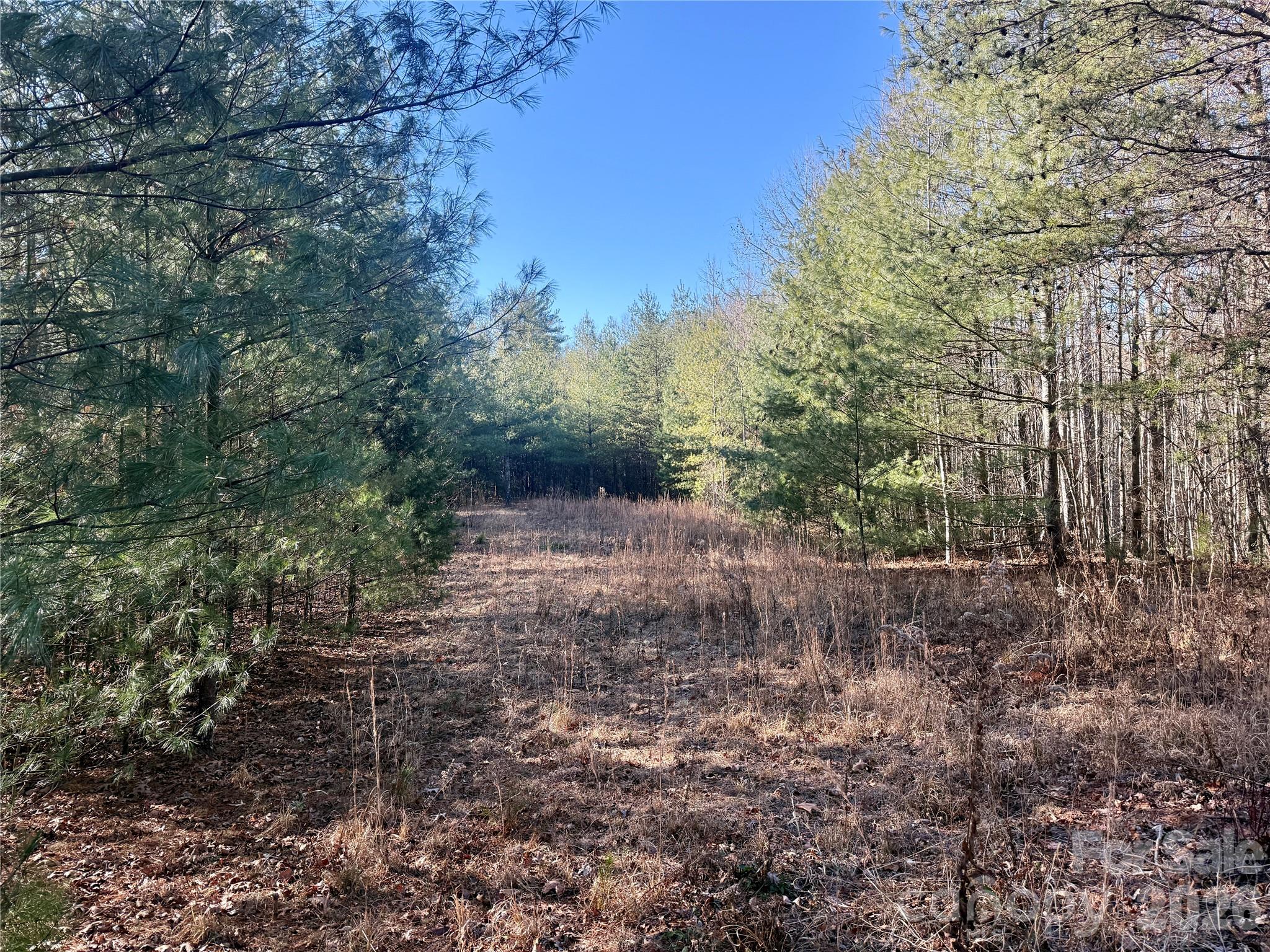 The Coves Mountain River Club - Land