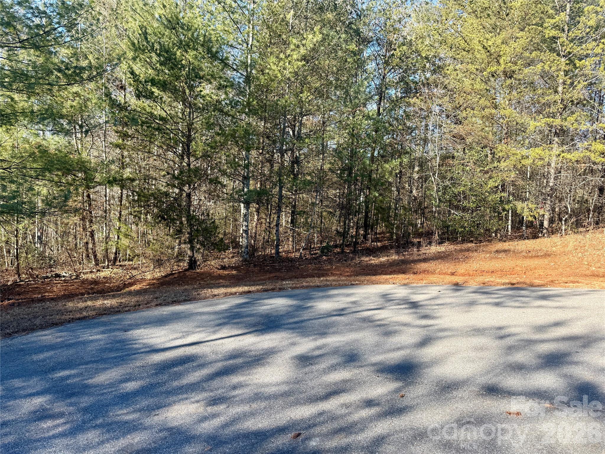 The Coves Mountain River Club - Land