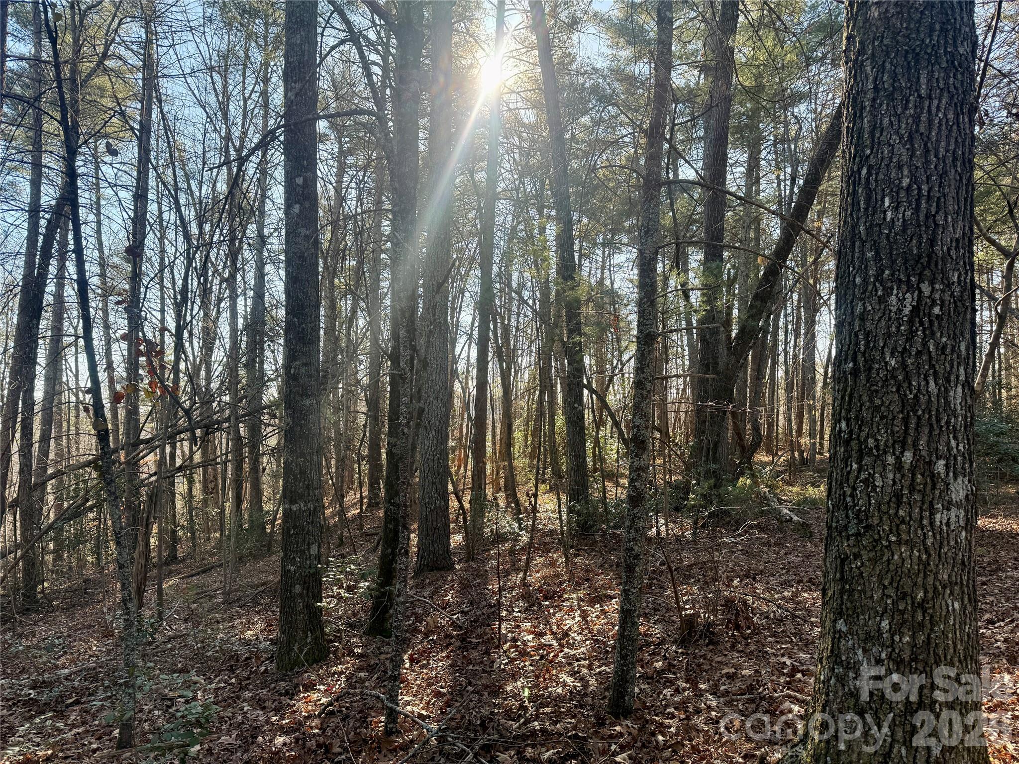 The Coves Mountain River Club - Land