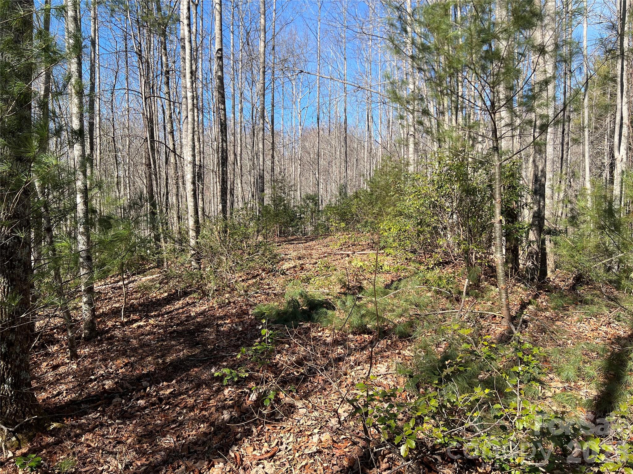 Timber Rock - Land
