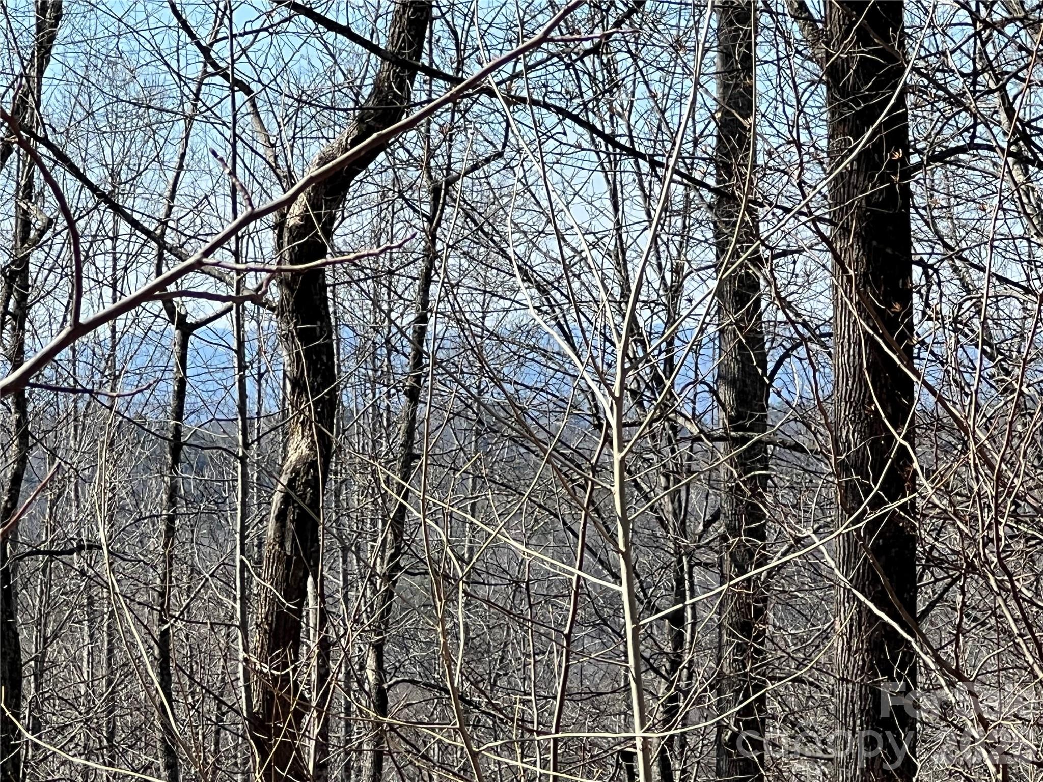 Timber Rock - Land