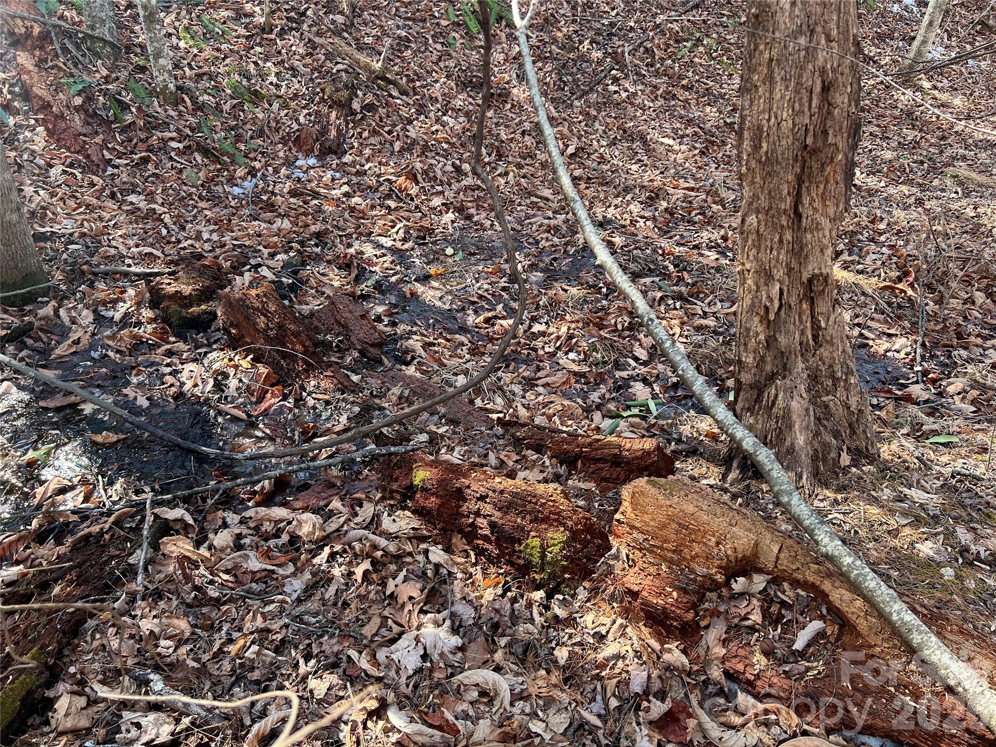 Timber Rock - Land