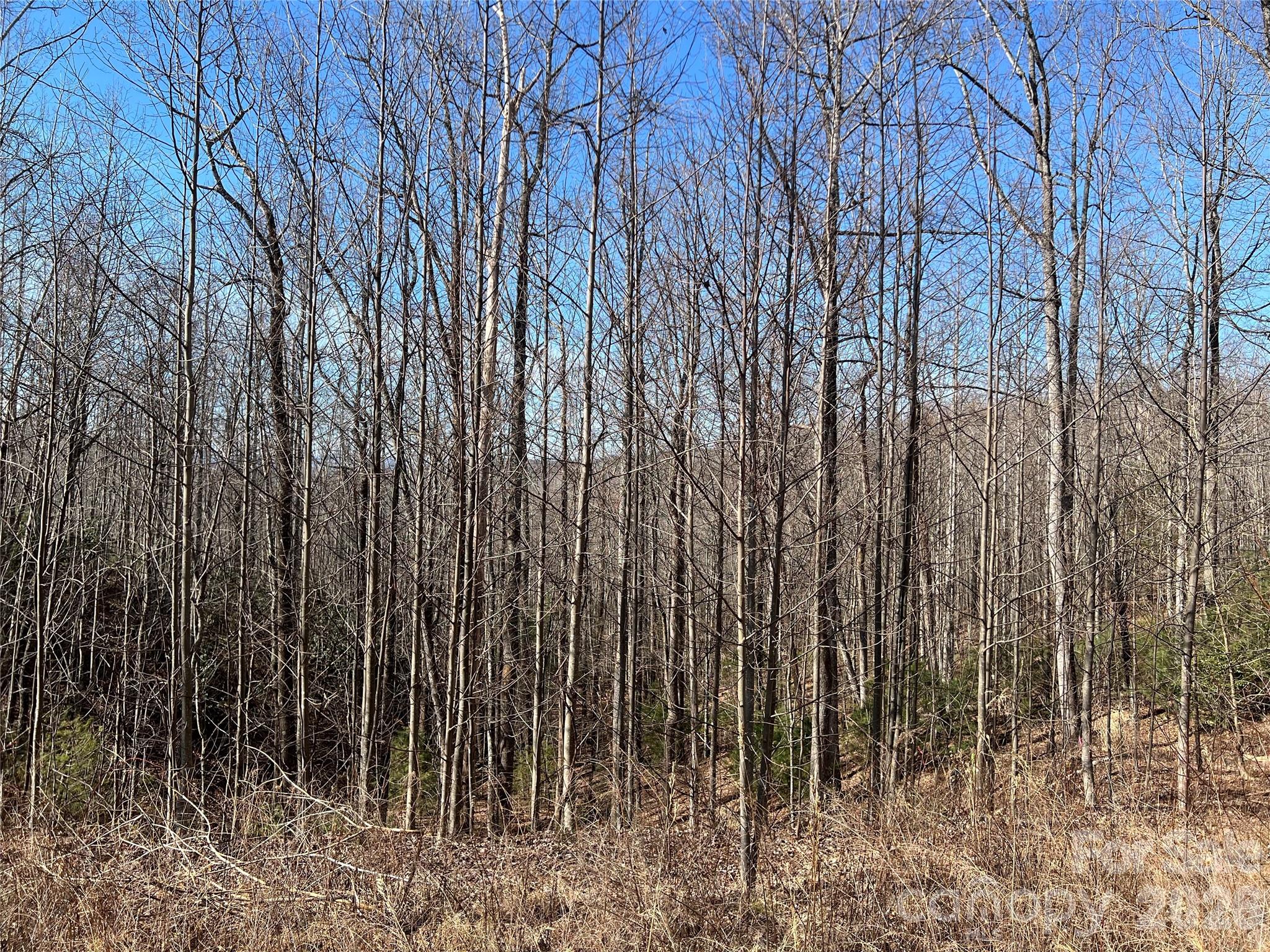 Timber Rock - Land