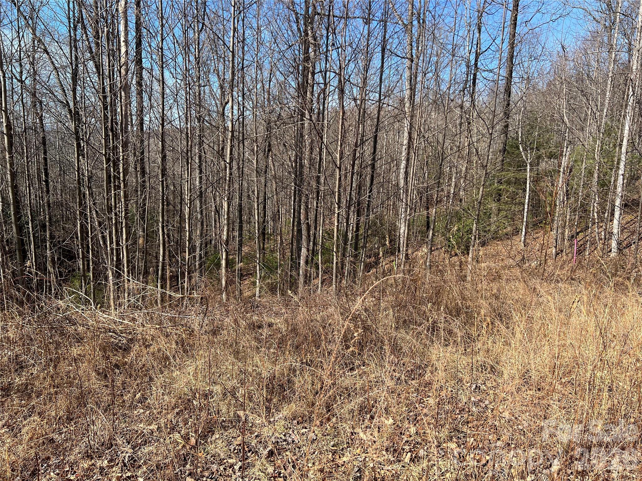 Timber Rock - Land