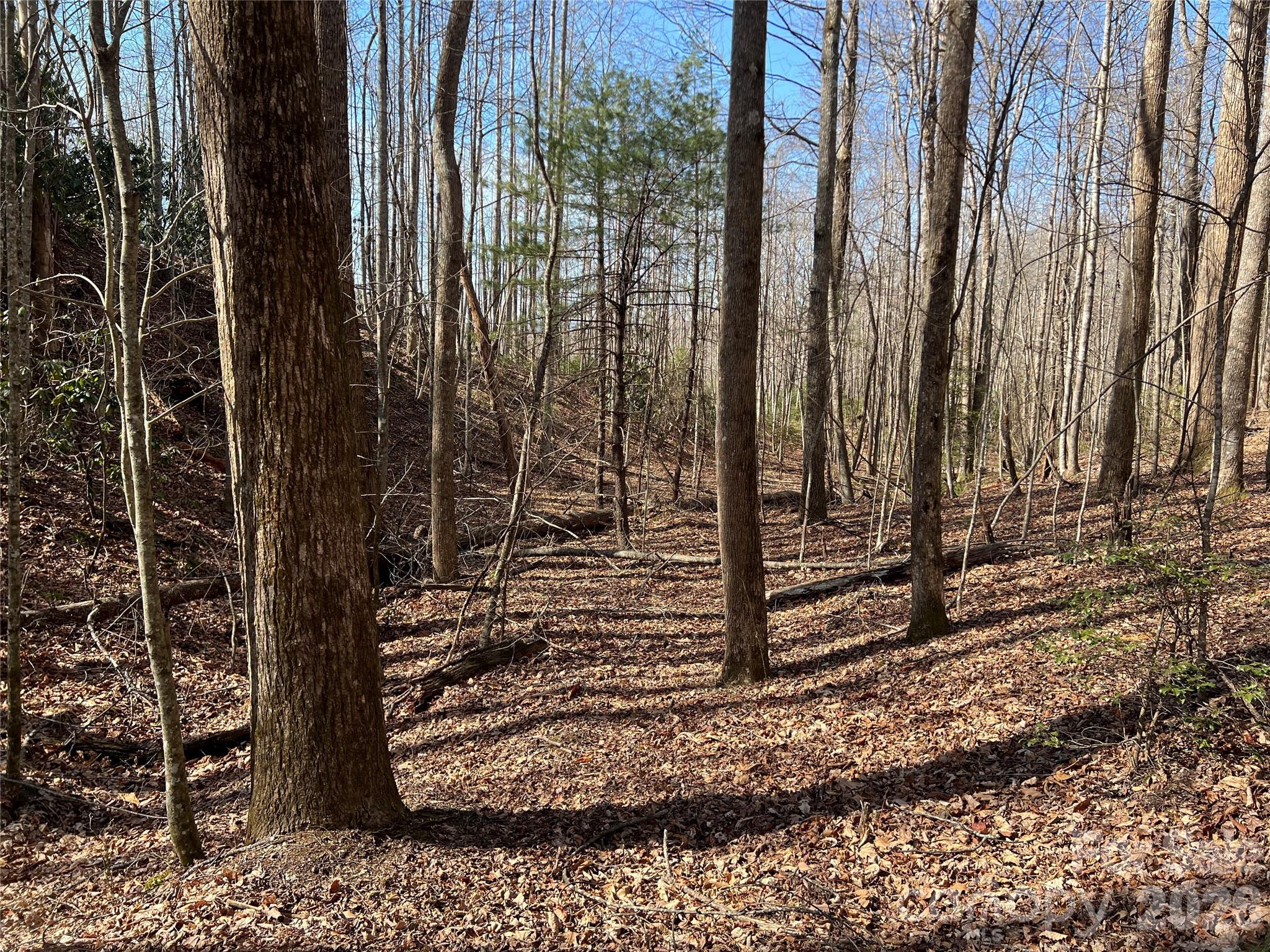 Timber Rock - Land