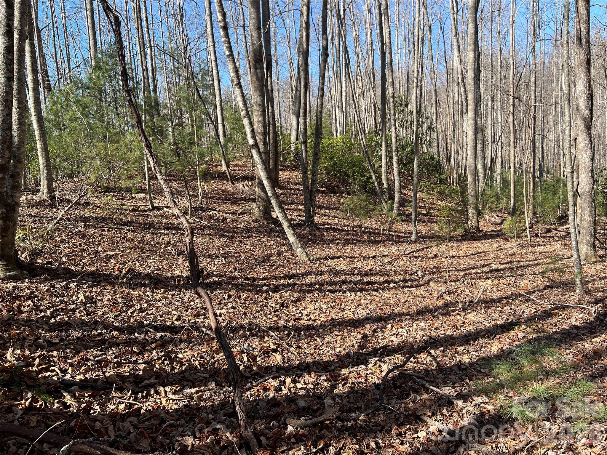 Timber Rock - Land