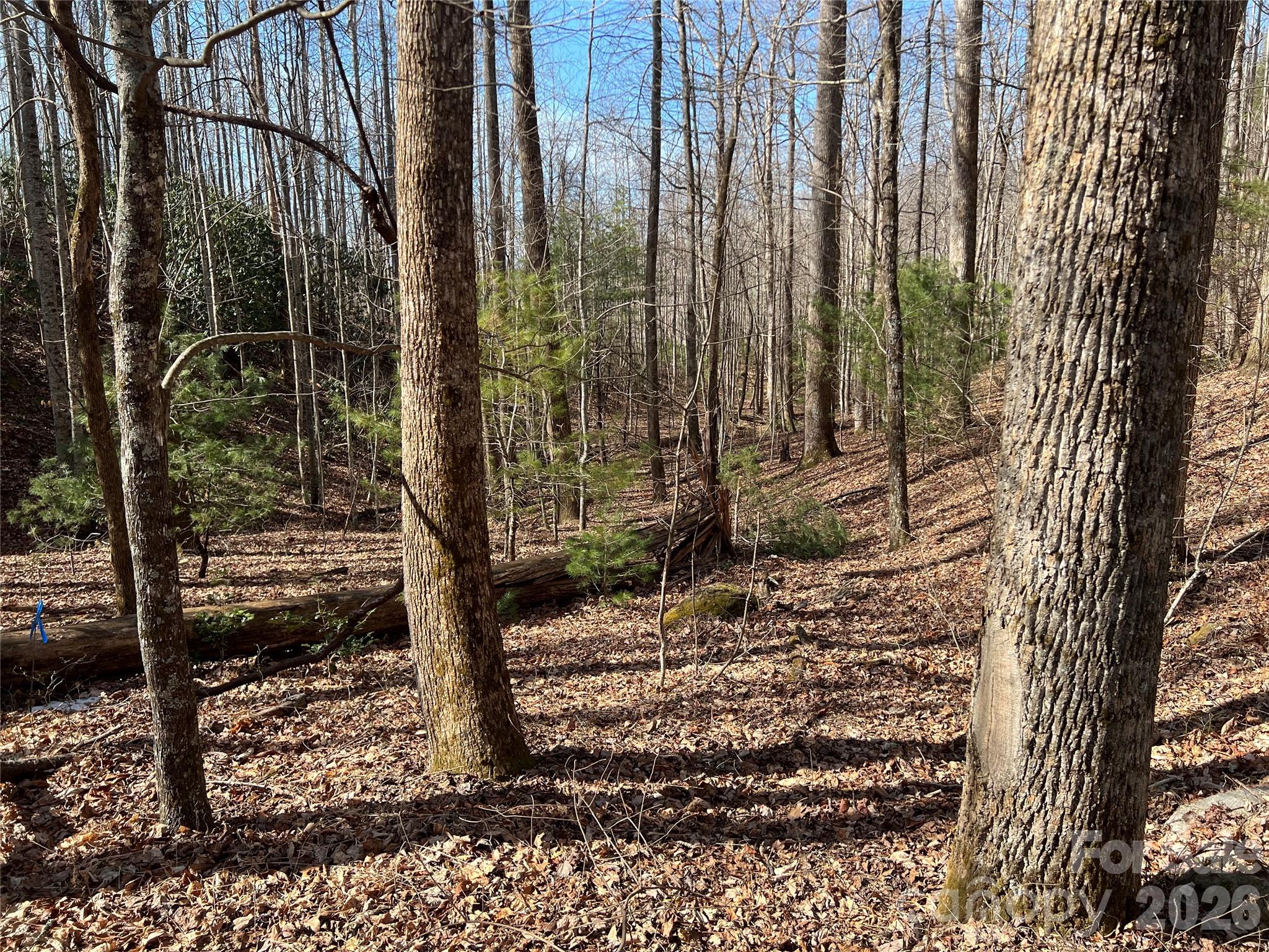 Timber Rock - Land