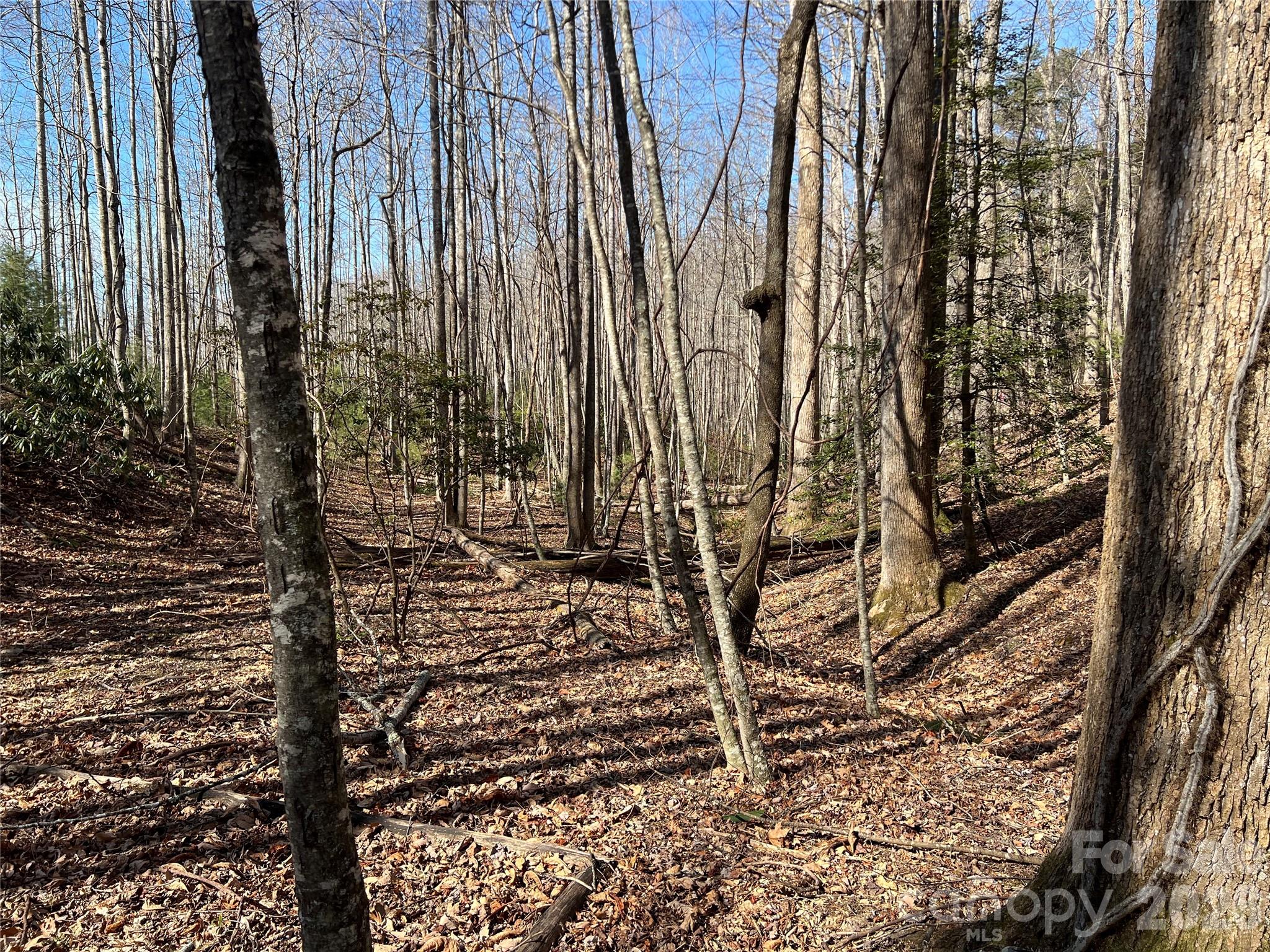 Timber Rock - Land