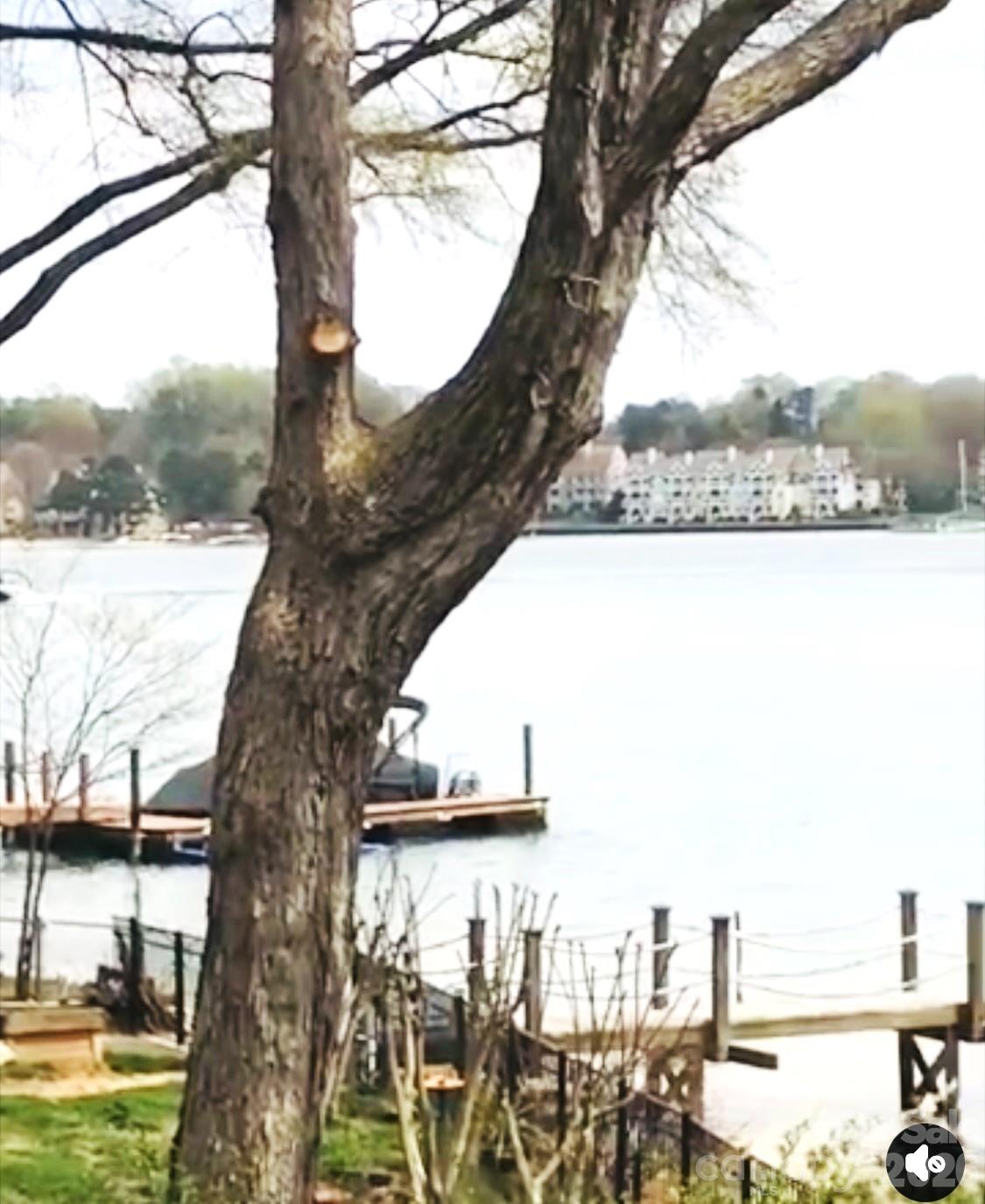 Experience Waterfront Living at its finest in this stunning Lake Norman retreat, perfectly situated on a prestigious peninsula Cul-De-Sac lot with Lake Front sweeping panoramic views and Sandy Beach. This exceptional lakefront home offers the rare combination of a Private Dock, creating your own personal oasis for relaxation and recreation. 

Step inside to discover a light-filled, open-concept design where windows frame breathtaking water views from nearly every room. The kitchen flows seamlessly into spacious living areas, making it ideal for entertaining or enjoying quiet evenings by the lake. Custom details and thoughtfully designed spaces elevate the home’s elegance and comfort.

The Primary Suite is a Located on the Main Level, featuring lake views, a ensuite bath, and direct access to outdoor living spaces. Additional bedrooms located in finished basement provide ample room for family and guests, each designed with comfort and style in mind.

Outside, enjoy the ultimate Waterfront Lifestyle. Lounge on your private sandy beach, tie up your boat to your dock, or unwind with your out door kitchen on the deck as the sun sets over the water. The beautifully landscaped grounds enhance the home’s natural beauty while offering privacy and tranquility.

Whether you’re seeking a full-time residence or a weekend escape, this Lake Norman gem delivers the perfect blend of luxury, leisure, and lakeside charm.