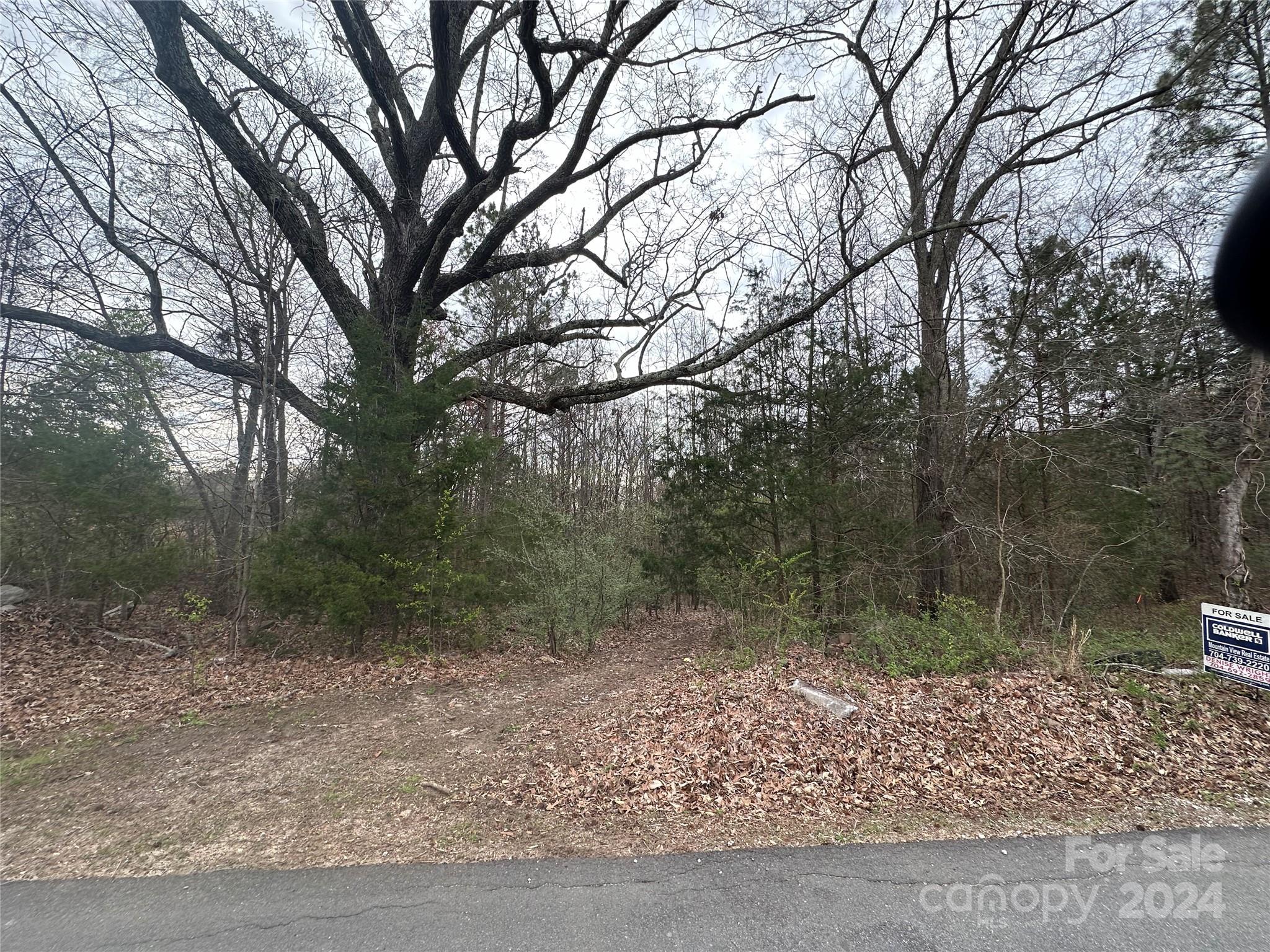 7.6 acres of land that is located just minutes outside of the town of Pacolet. Great location to get outside of Spartanburg but be close. This is a great opportunity to own a tract of land that is still quiet and less hectic. Country living! The land has no restrictions and possibilities are endless! Build your home, have a farm, property is great for hunting, or just a perfect weekend getaway.