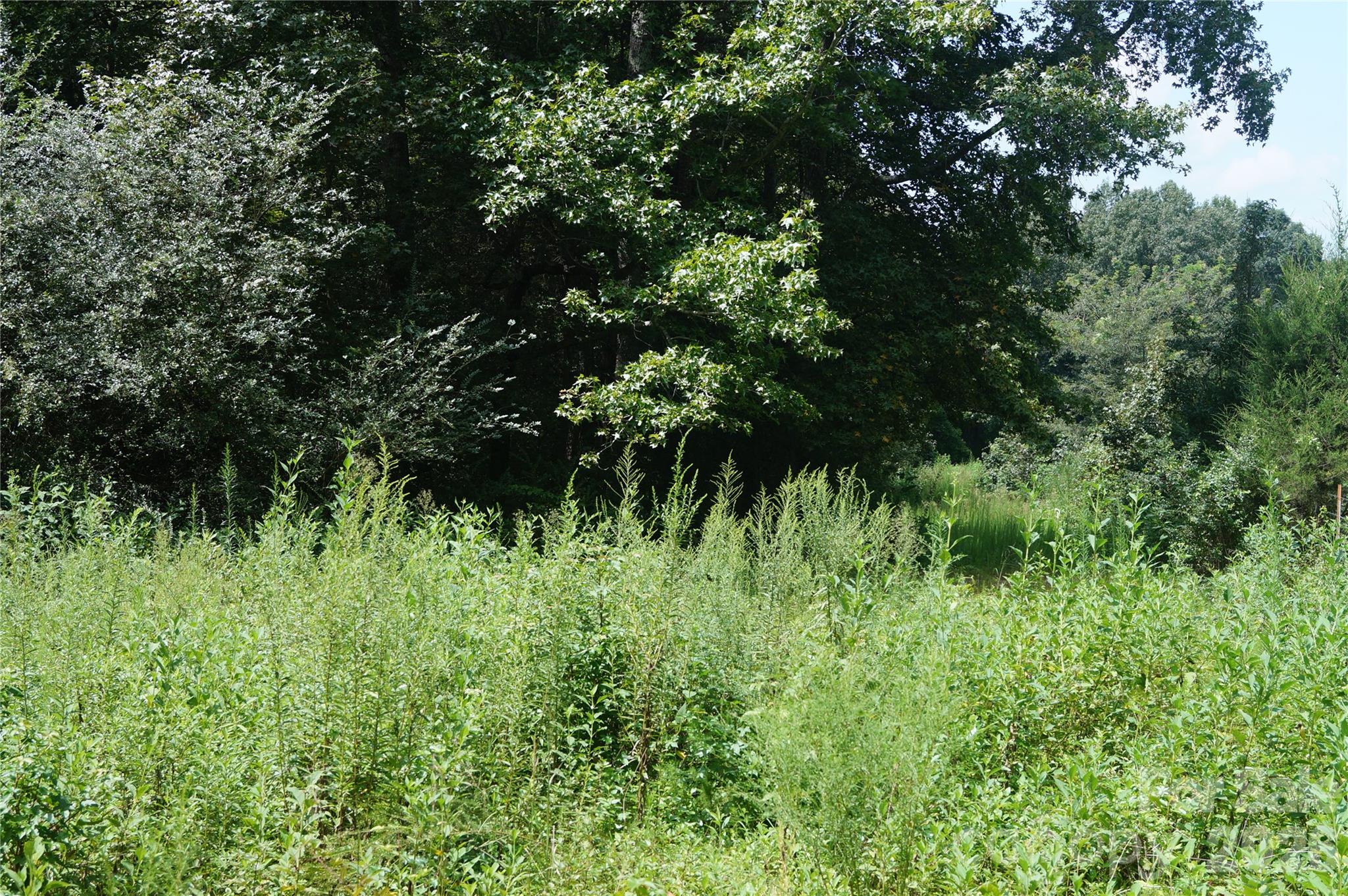 13 ± acres in Cherokee County, 185 Hall Rd., Gaffney, SC