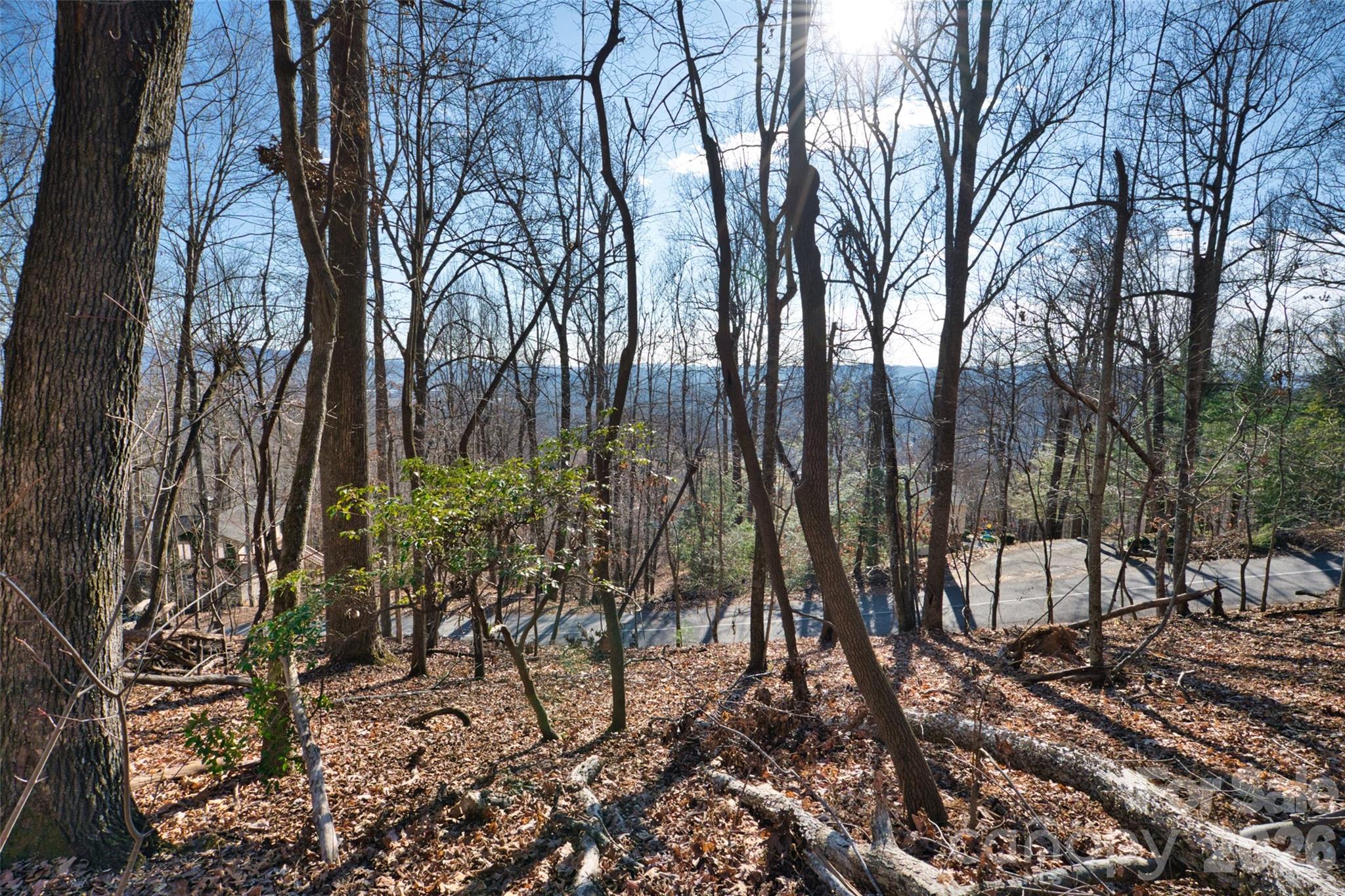 Welcome to the beautiful and welcoming community of High Vista, where neighbors enjoy evening sunset walks and friendly visits. This exceptional buildable lot sits elevated along the road, offering the potential for breathtaking panoramic views. The gently sloping topography of the land creates a perfect balance of accessibility and privacy, providing an ideal setting to build your dream home. Experience the quintessential blend of serene surroundings and spectacular vistas, all within a close-knit and inviting neighborhood. 
With an updated survey and septic permit on file, the heavy lifting has already been done!

This property is part of the HOA only. It does not include the POA or Golf Club. POA can be joined separately with additional fees to include pool, clubhouse, tennis/pickleball court. More info can be found at https://www.highvistapoa.com/
Golf Membership available through Chestnut Mountain Golf Club https://www.chestnutmountaingolf.com/