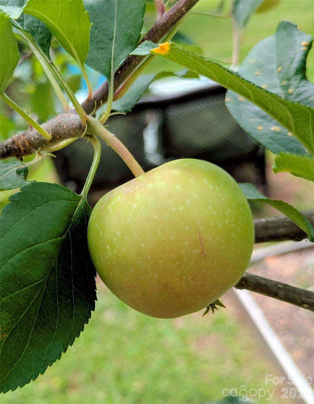 None - Residential