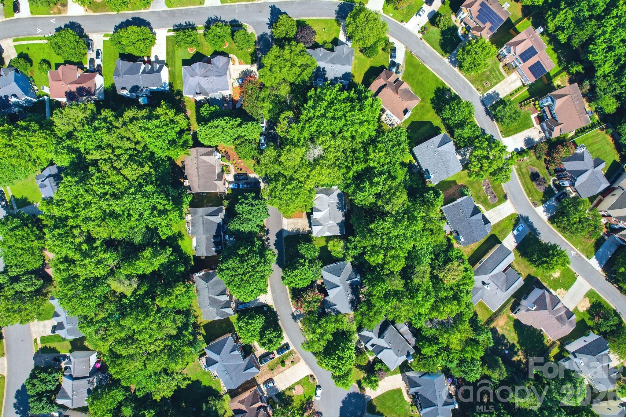 Harrington Woods - Residential