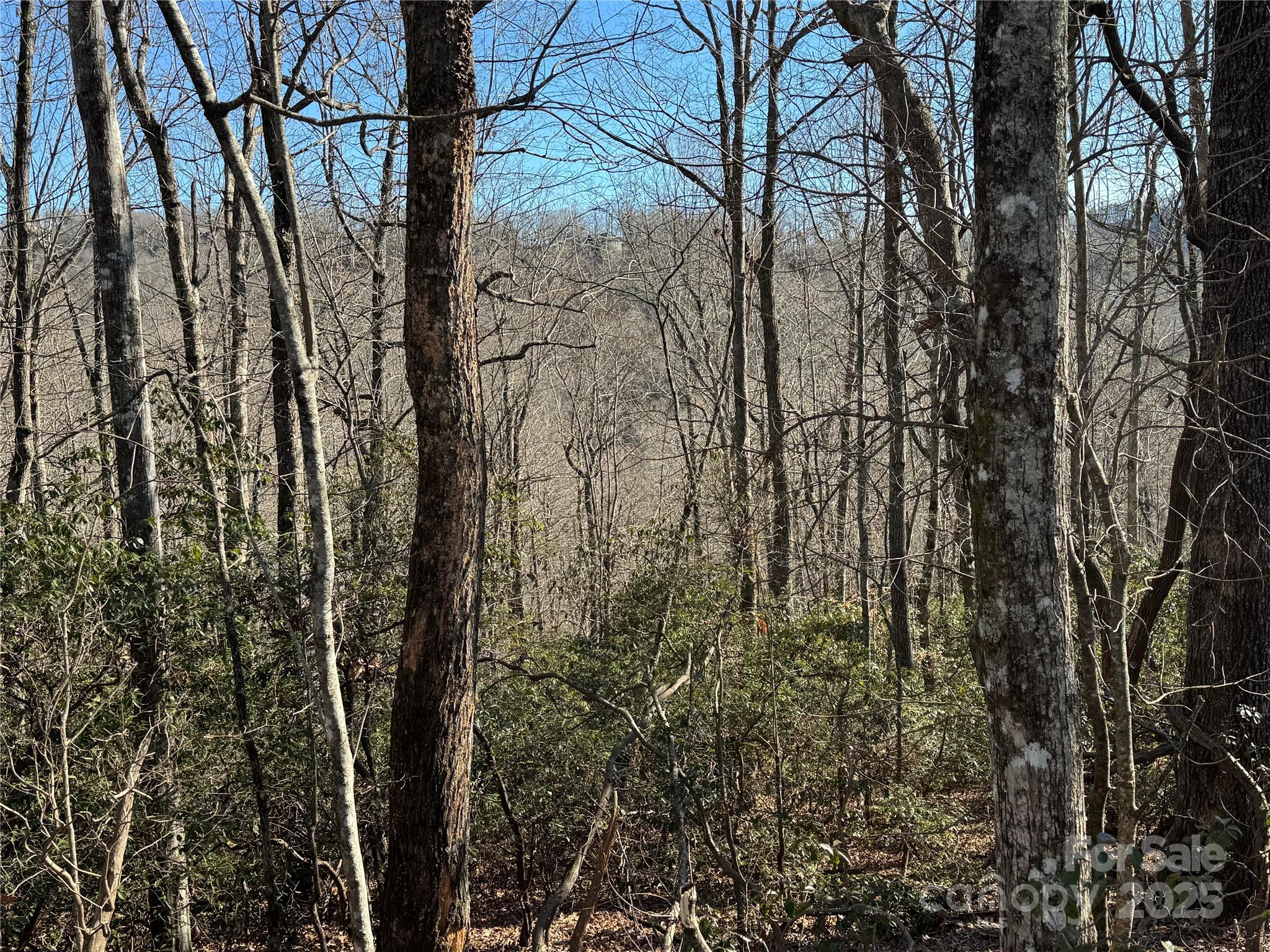 Connestee Falls - Land