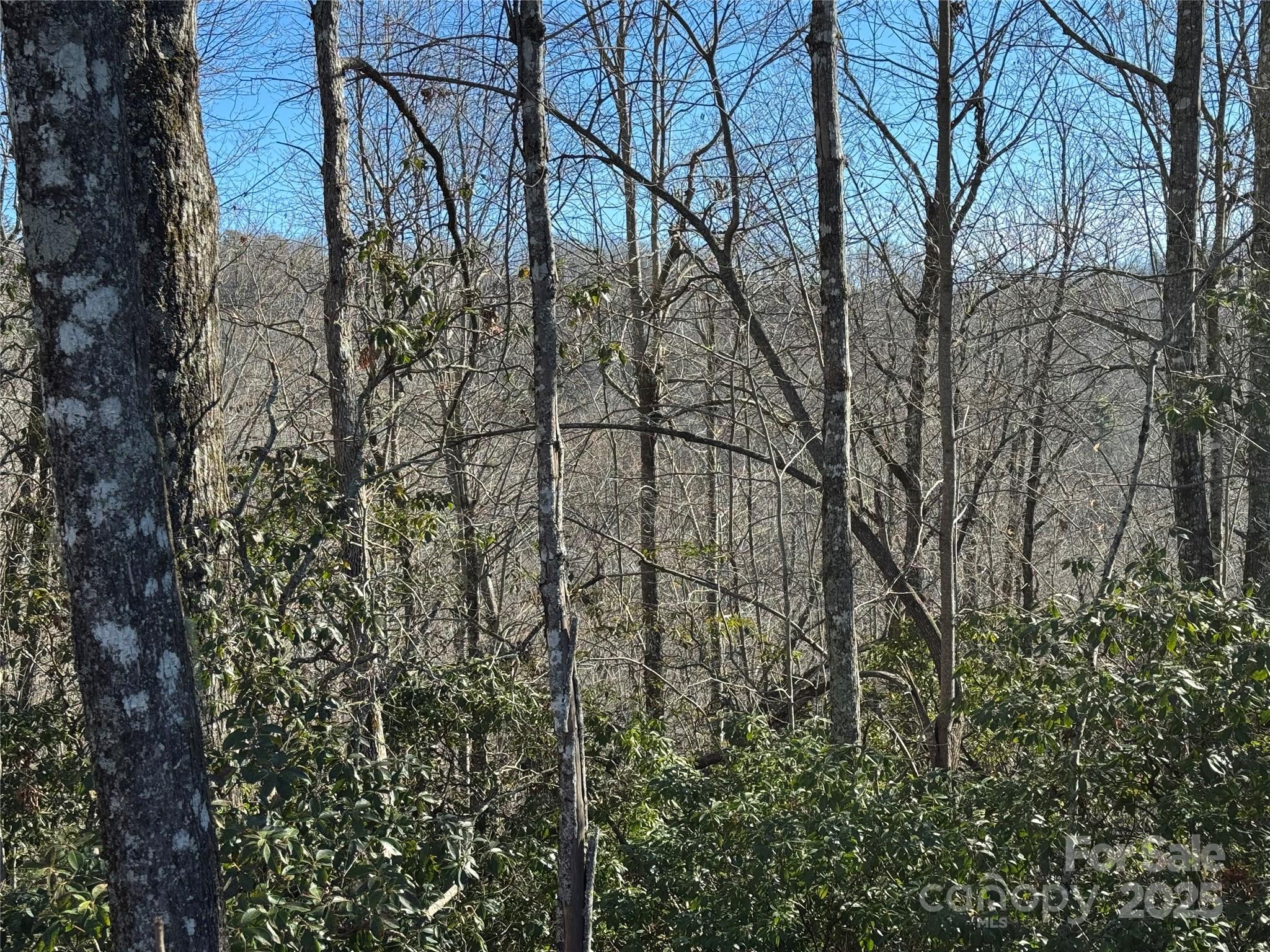 Connestee Falls - Land