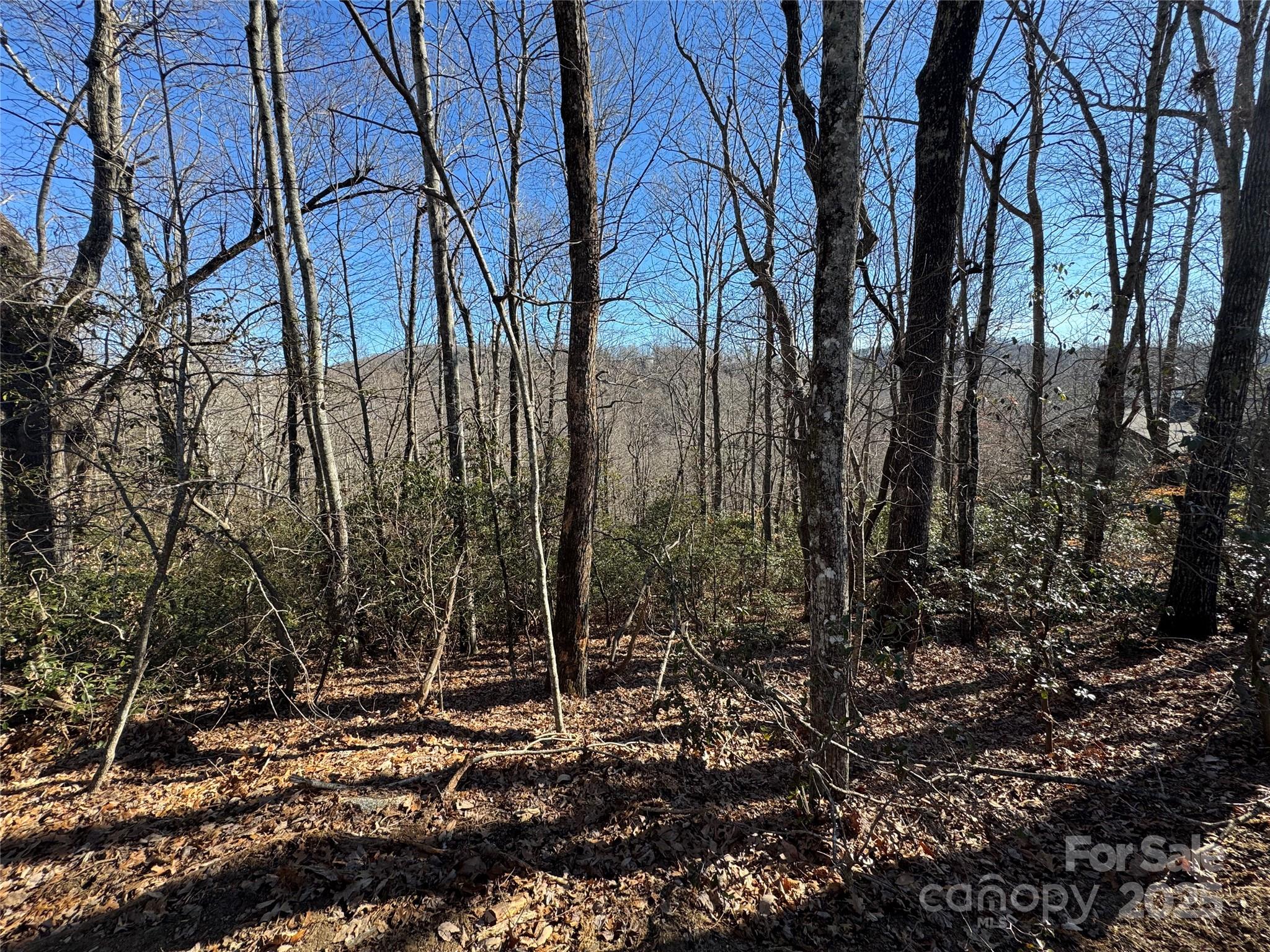 Connestee Falls - Land