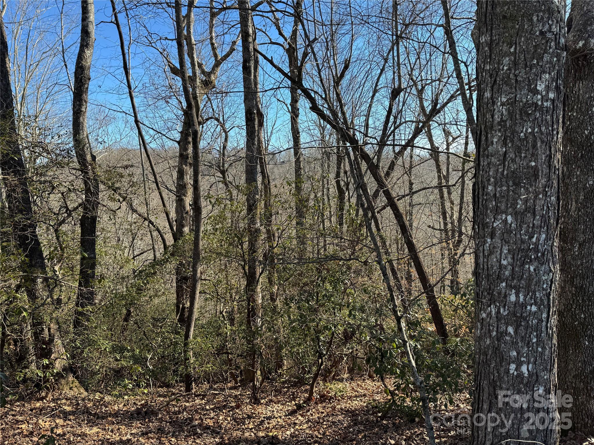 Connestee Falls - Land