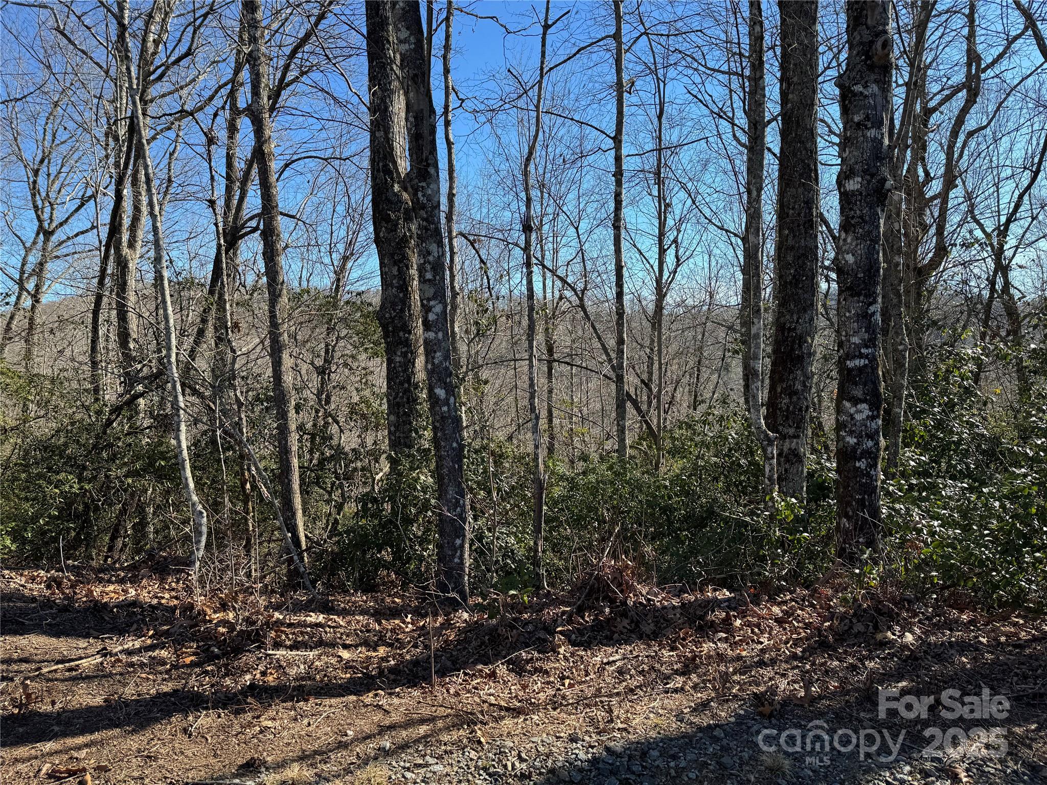 Connestee Falls - Land