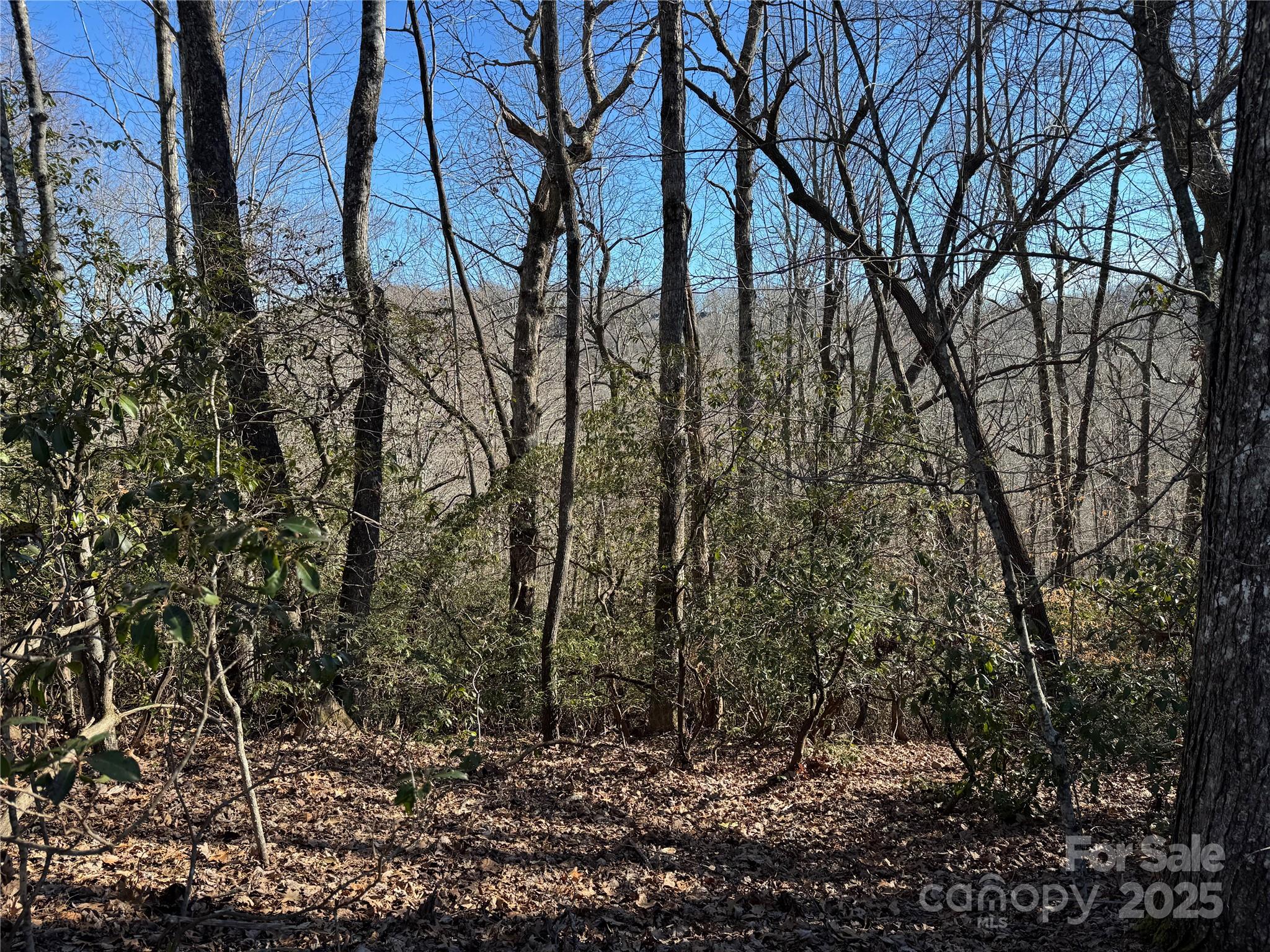 Connestee Falls - Land