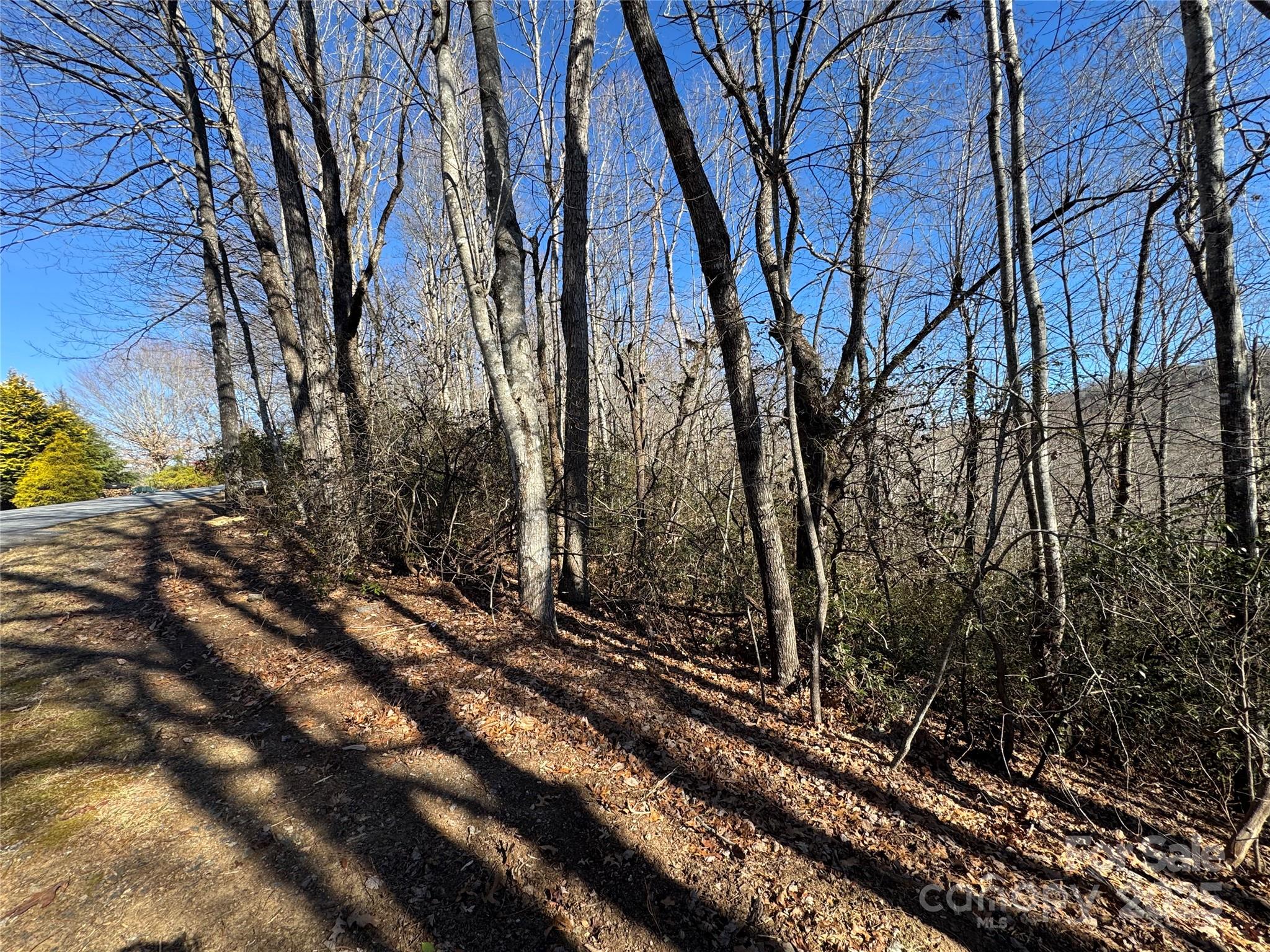 Connestee Falls - Land