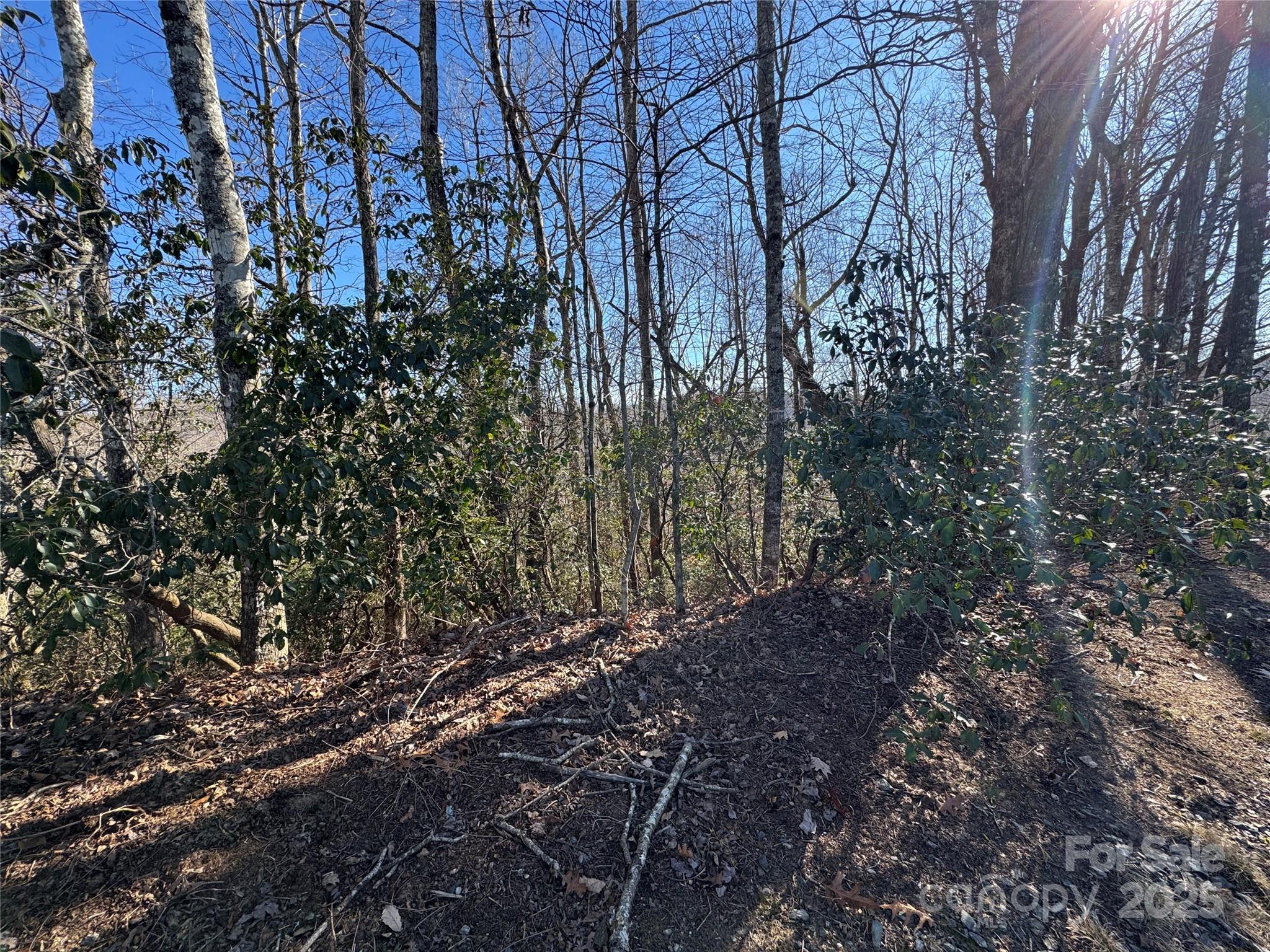 Connestee Falls - Land