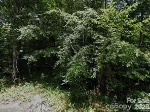 This lot sits on .40 acres, featuring an impressive 153 feet of paved road frontage. Situated near the water and eligible for USDA No Money Down financing.   County water is available, with a meter needed and a tap fee of $885.  Don't miss out on this versatile and promising investment opportunity.