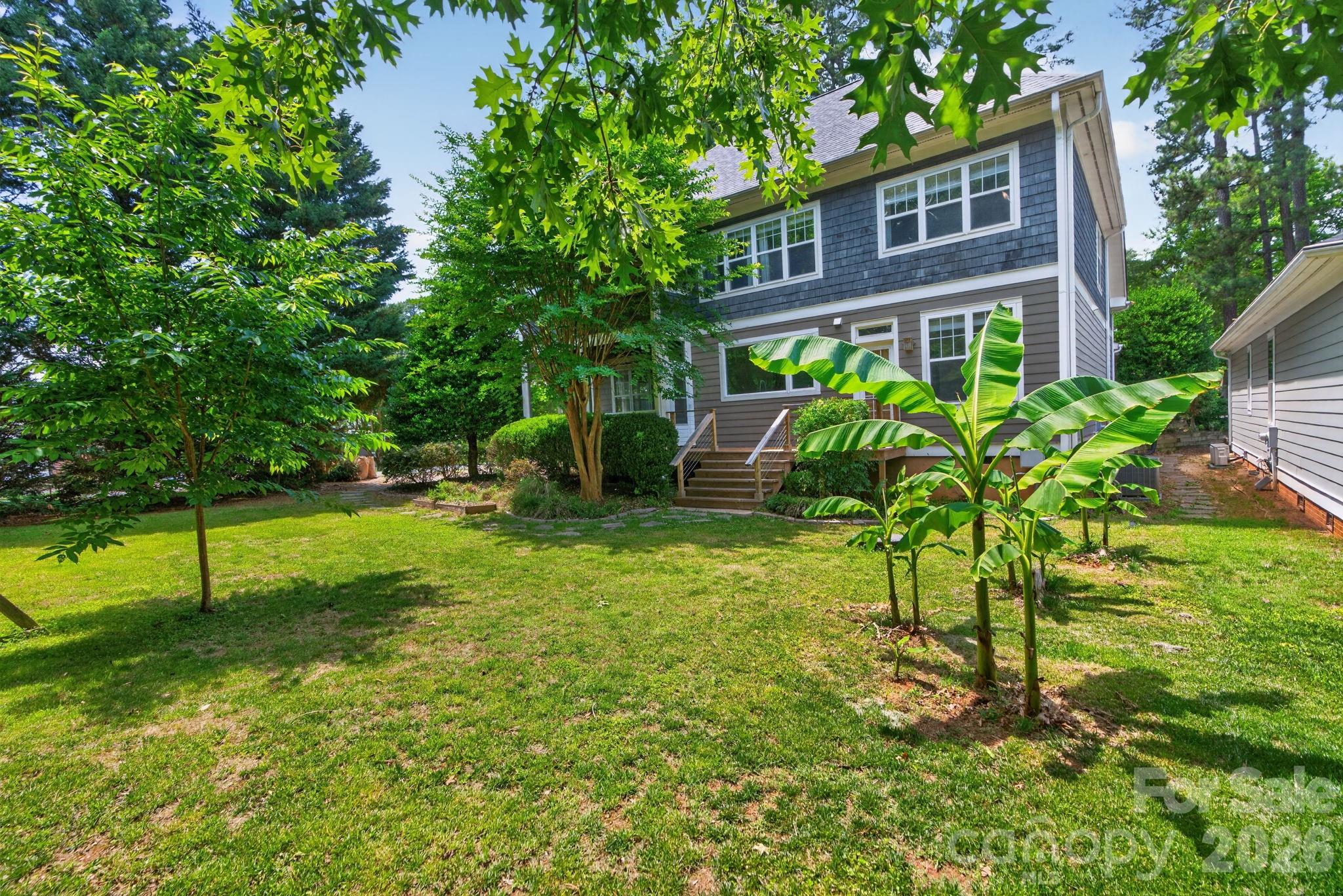 Island Forest - Residential