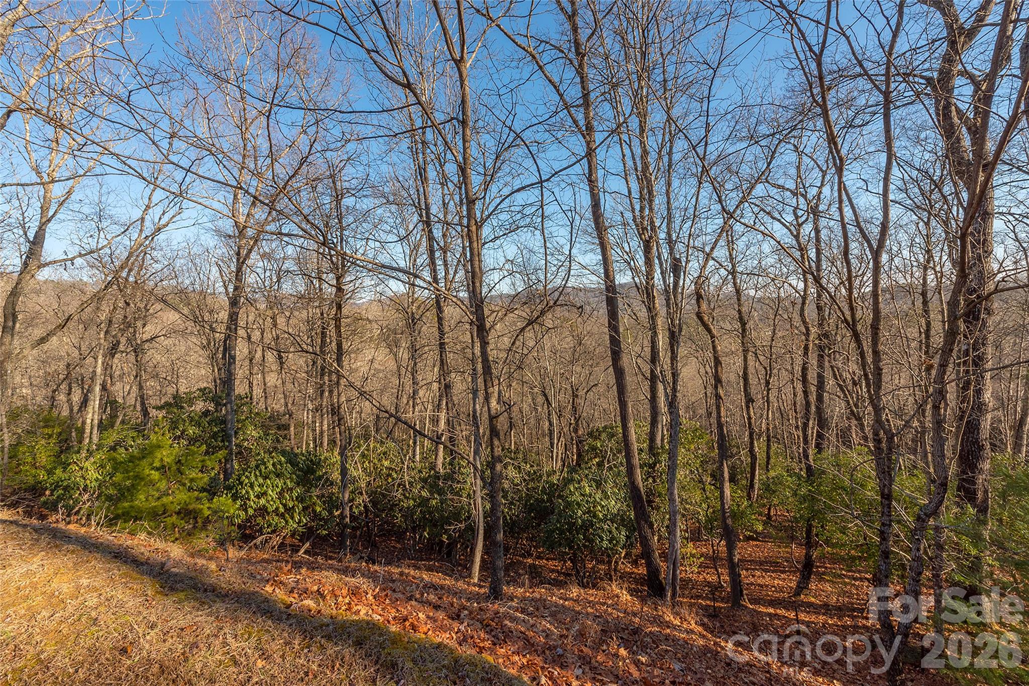 Homestead at Mills River - Land