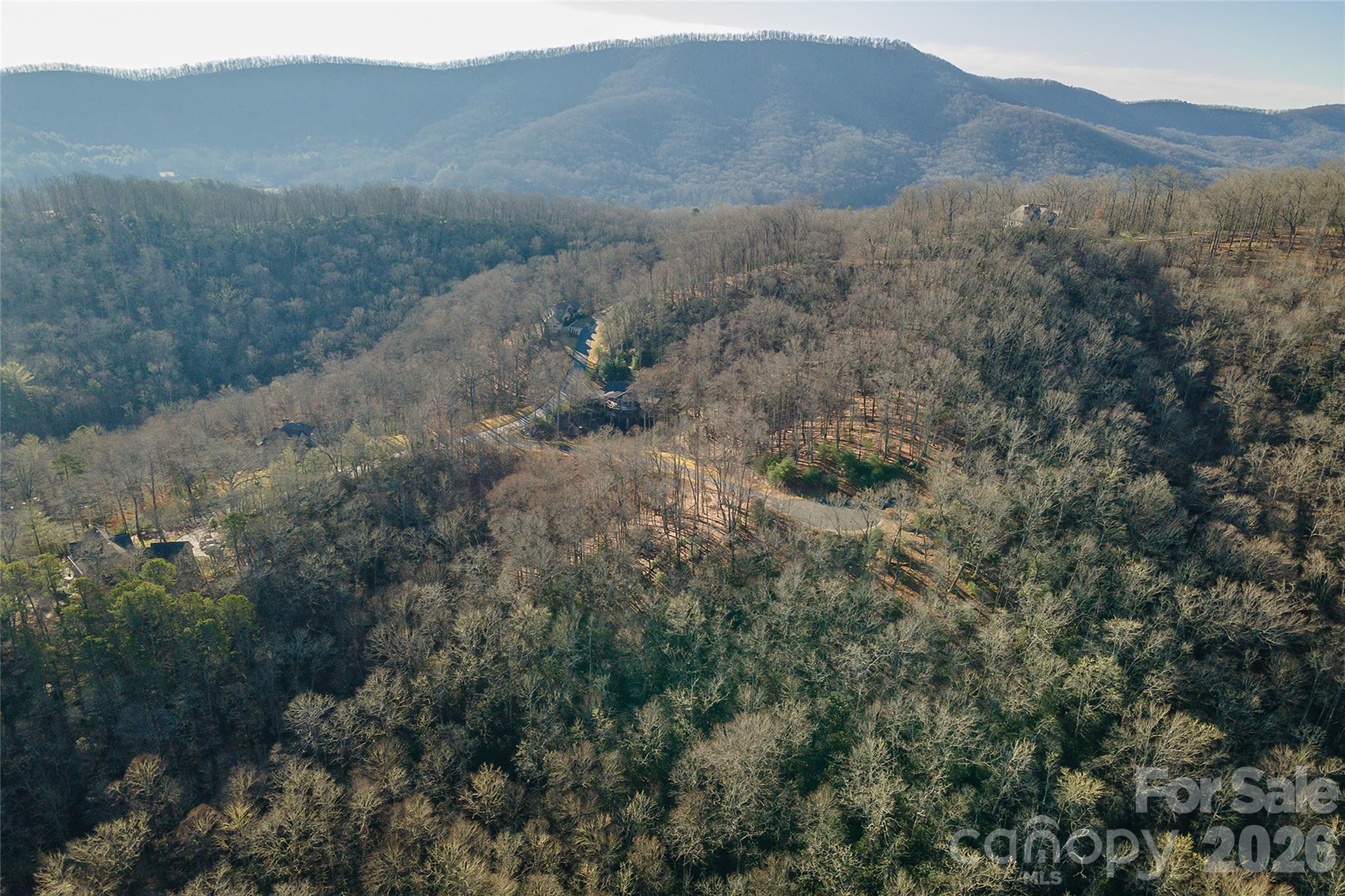 Homestead at Mills River - Land