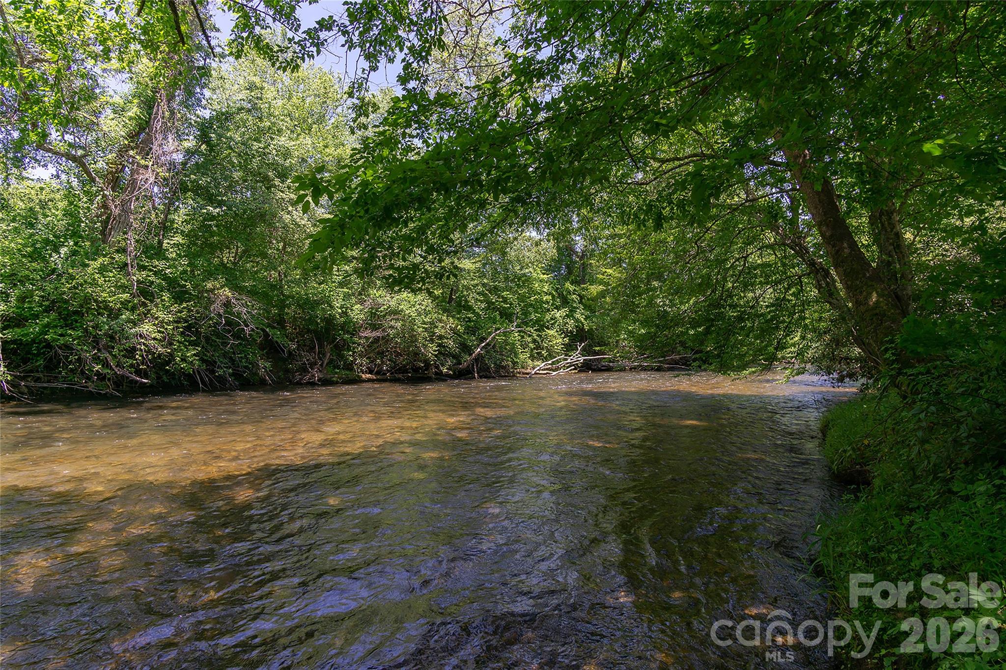 Homestead at Mills River - Land
