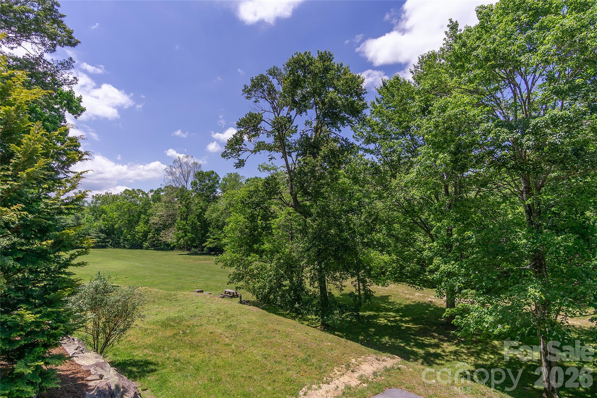 Homestead at Mills River - Land