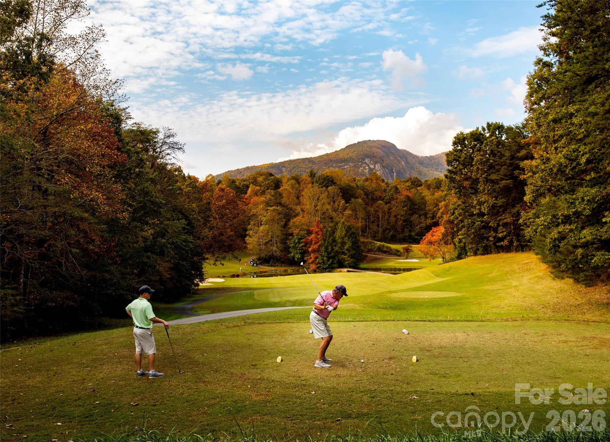 Rumbling Bald on Lake Lure - Residential