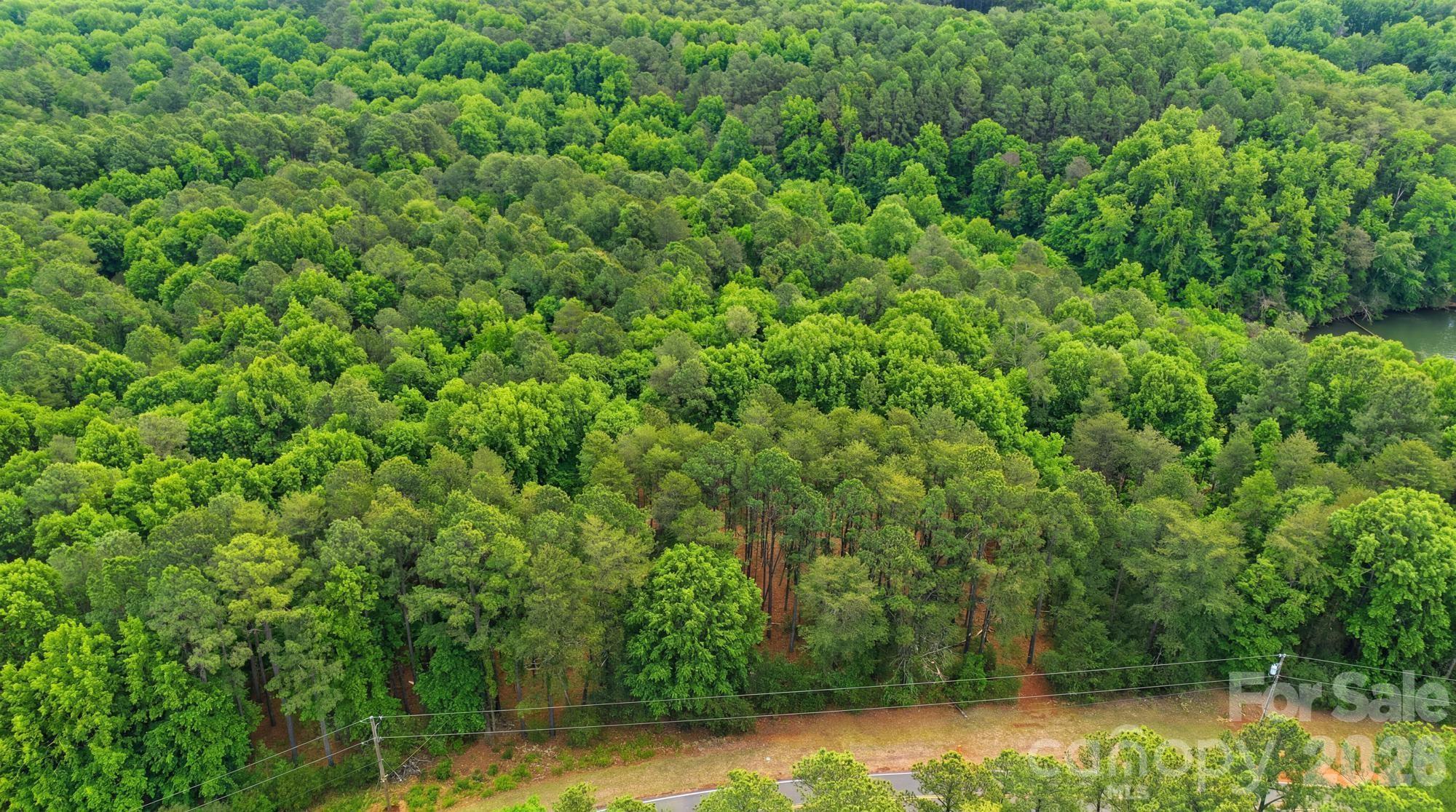 The Sanctuary - Land