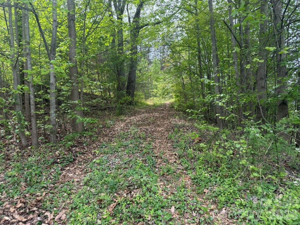 Kaylas Ridge - Land