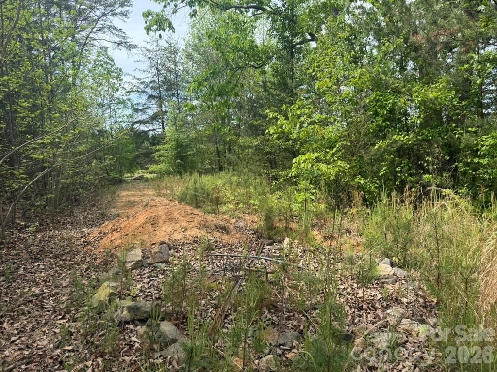 Kaylas Ridge - Land