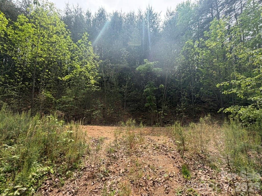 Kaylas Ridge - Land
