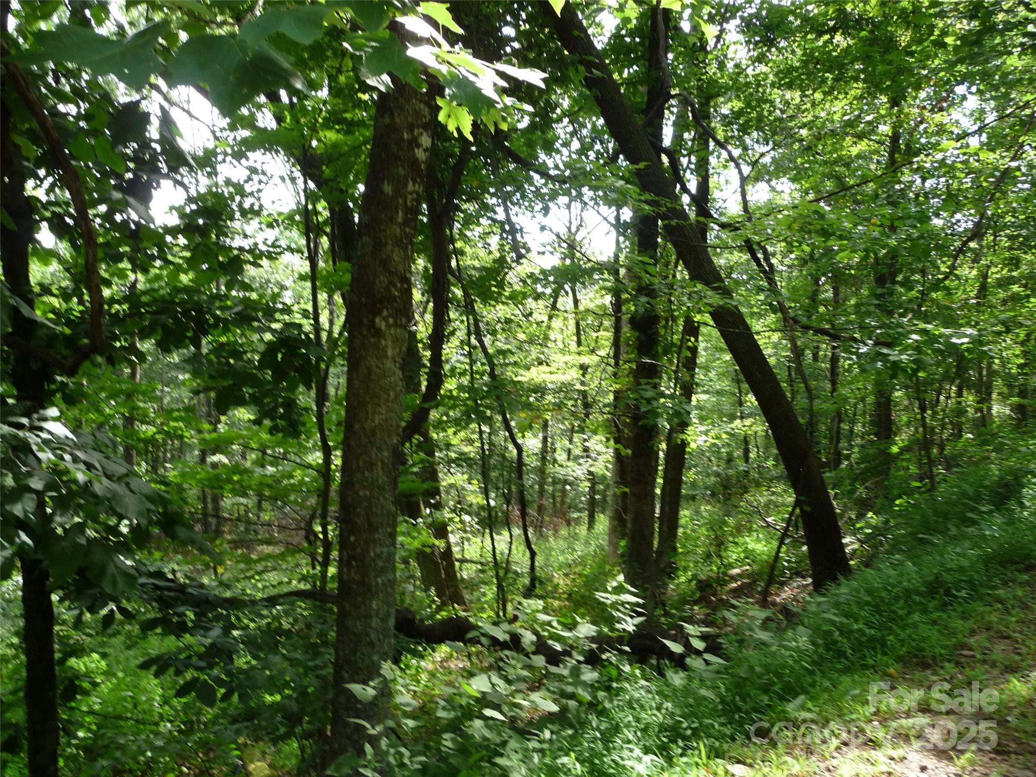 White Oak Mountain - Land