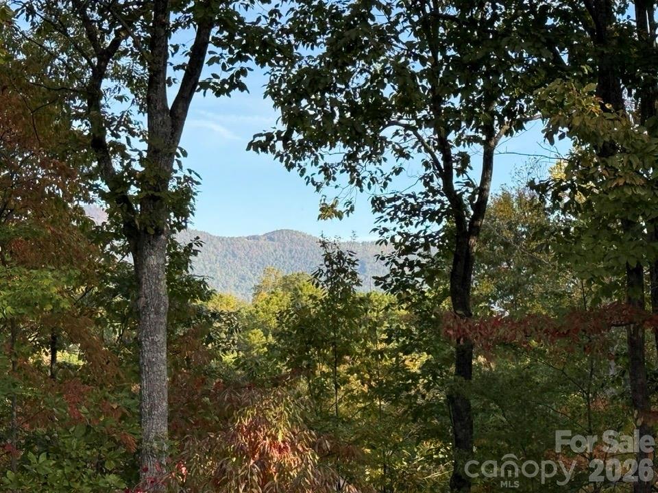 Lake Lanier - Residential