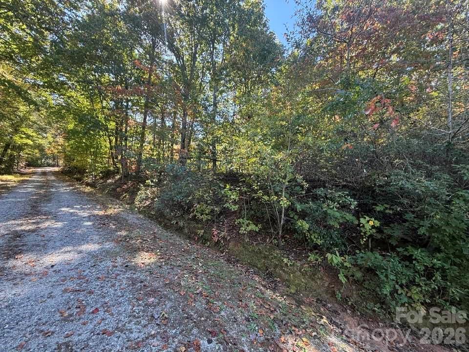Lake Lanier - Residential