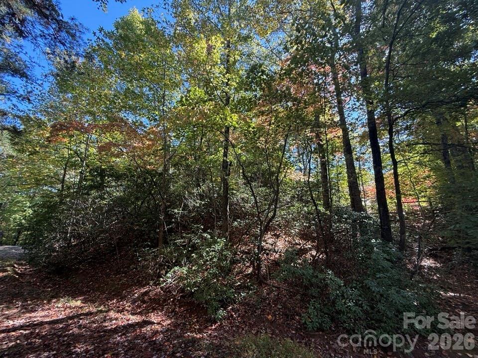 Lake Lanier - Residential