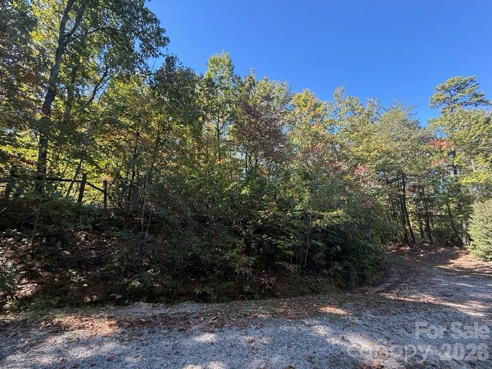 Lake Lanier - Residential