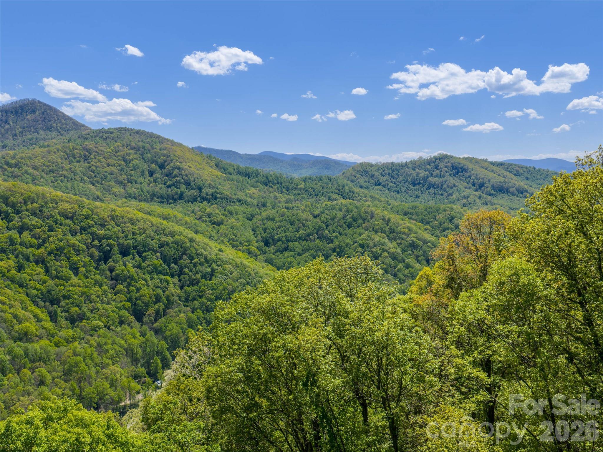 The Summit Of Asheville - Land