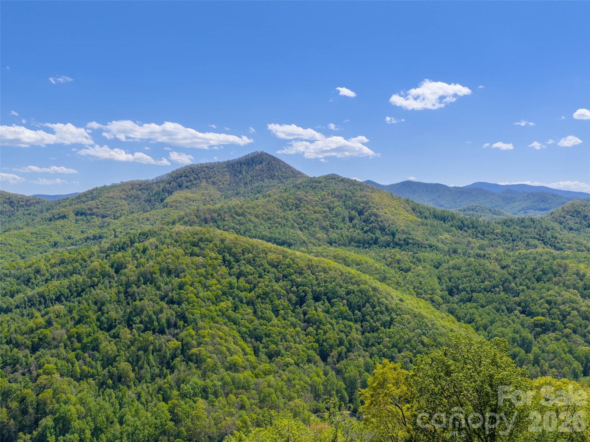 The Summit Of Asheville - Land