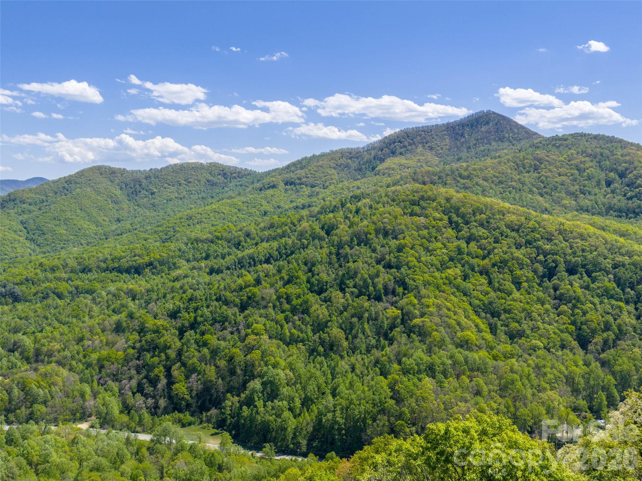 The Summit Of Asheville - Land