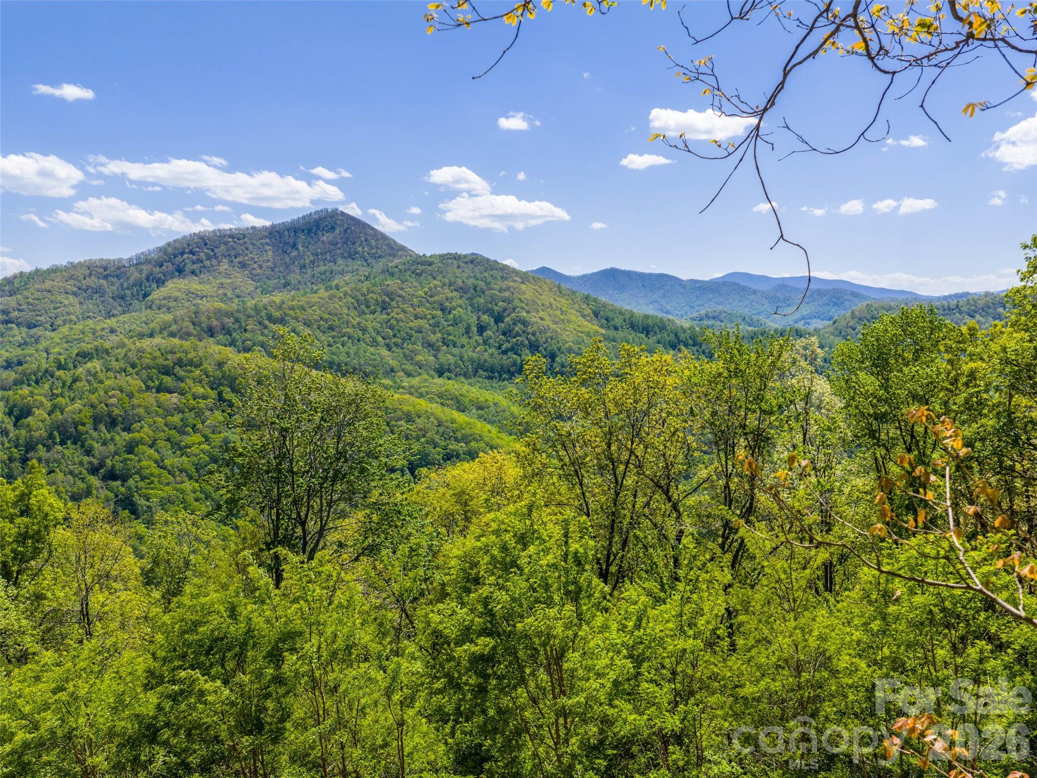 The Summit Of Asheville - Land