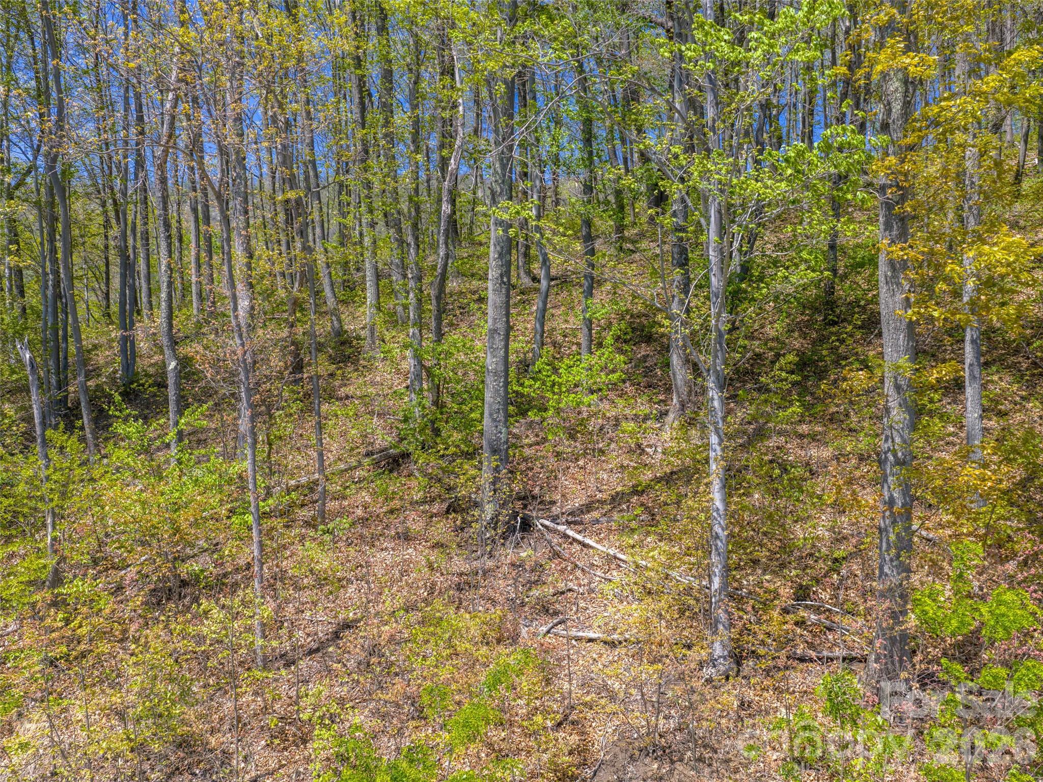 The Summit Of Asheville - Land