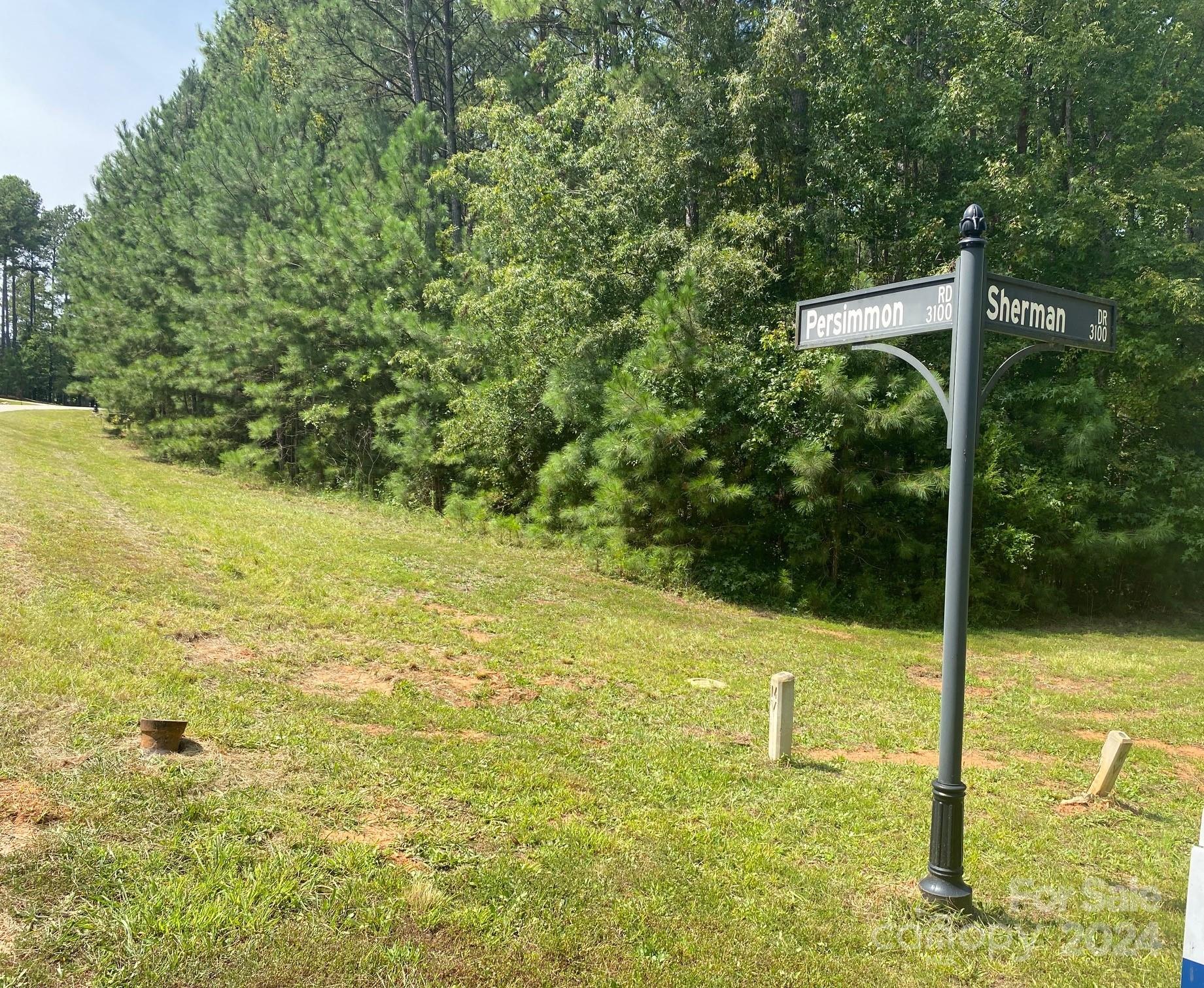 Riverchase Estates - Land