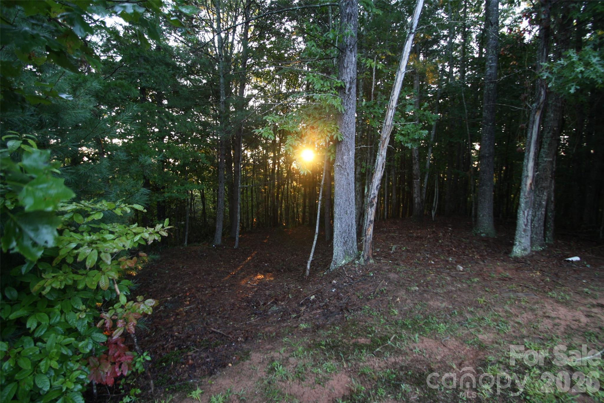 The Coves Mountain River Club - Land