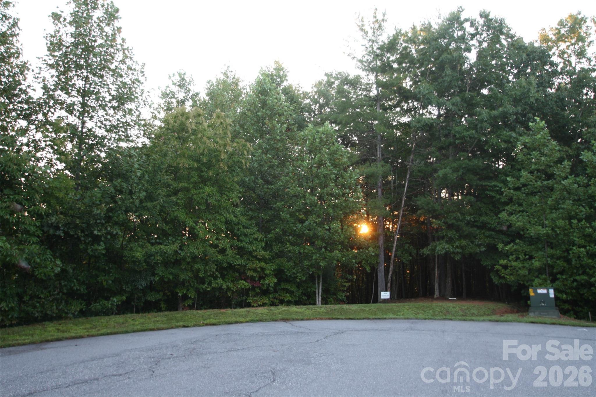 Cul-de-sac lot calling your name!
Whether you’re ready to start the build of your beautiful mountain home now or just planning for the
future, The Coves is a perfect place to start that dream! This secluded lot is located on a cul-de-sac, at the end of a quiet
street. This lot is level w/the road & has a flat build site, the multiple old logging trails on the property lends itself to
outdoor seating or entertaining areas. The rear of a home would have beautiful coral sunrises, & “artist pallet” sunsets
from the front. The Coves is a 3,600+ acre friendly, gated community offering numerous amenities including: miles of
hike/bike/equest/UTV trails; Lodge to gather for social events, lounging at the pool, socializing at the tiki bar, rocking on
the deck peering out over the majestic mountains or sitting around the firepits gazing at the stars. Other amenities:
kayak/tubing; picnic pavilion; vineyard/gardens; stables; brand new Pickle Ball/Shuffle Board/Putting Green ‘playground’
just to name a few